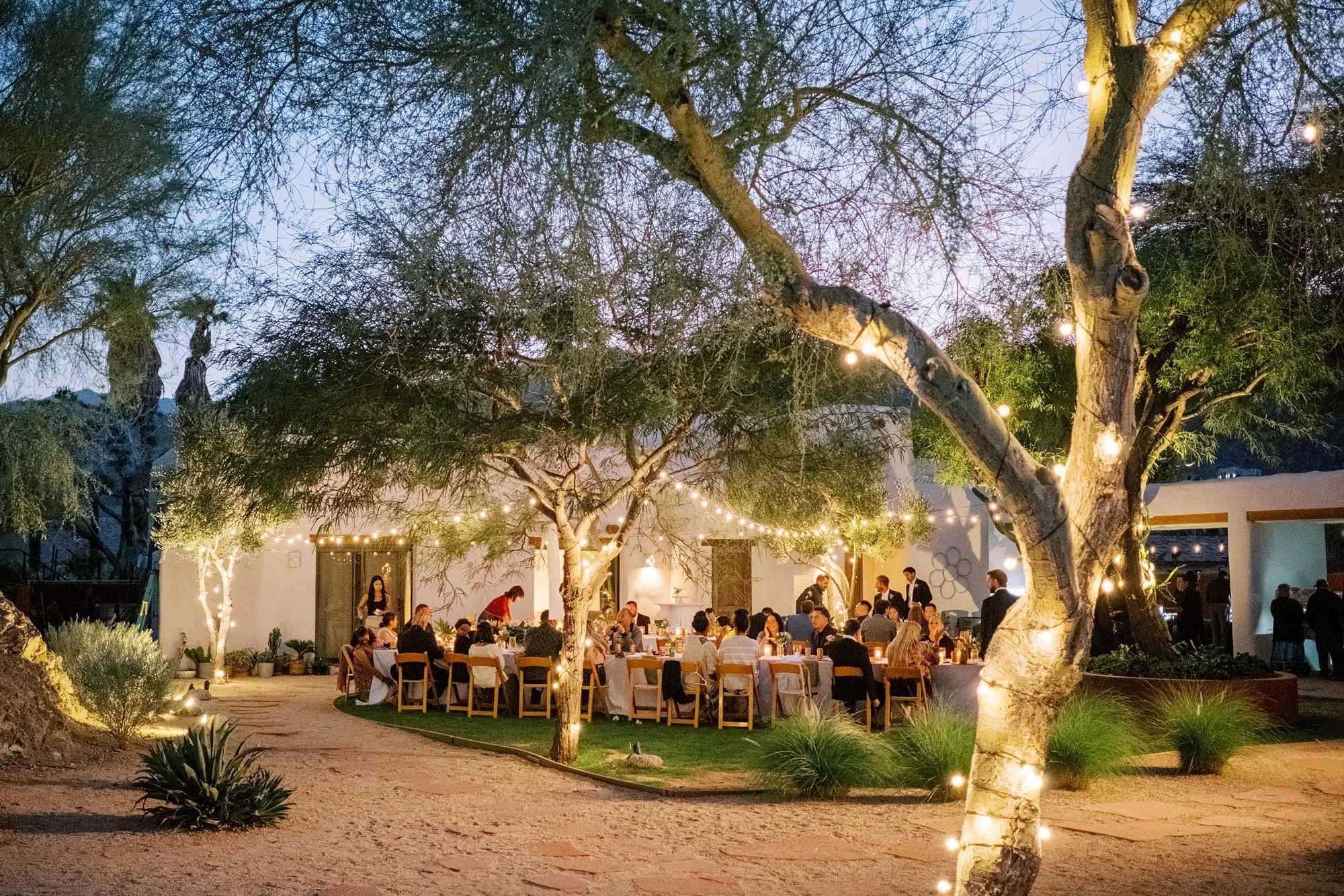 People gathered around a long dining table outdoors under string lights, surrounded by trees and desert plants, at dusk.
