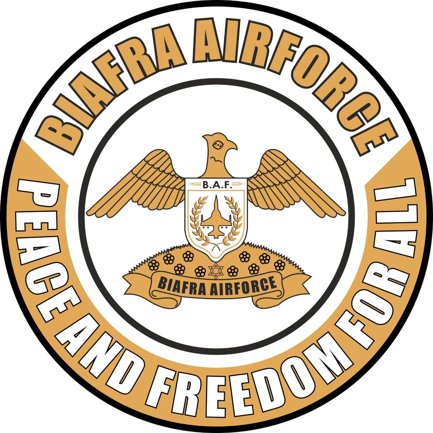 Biafra Security Administration Wireless Charger main image 1