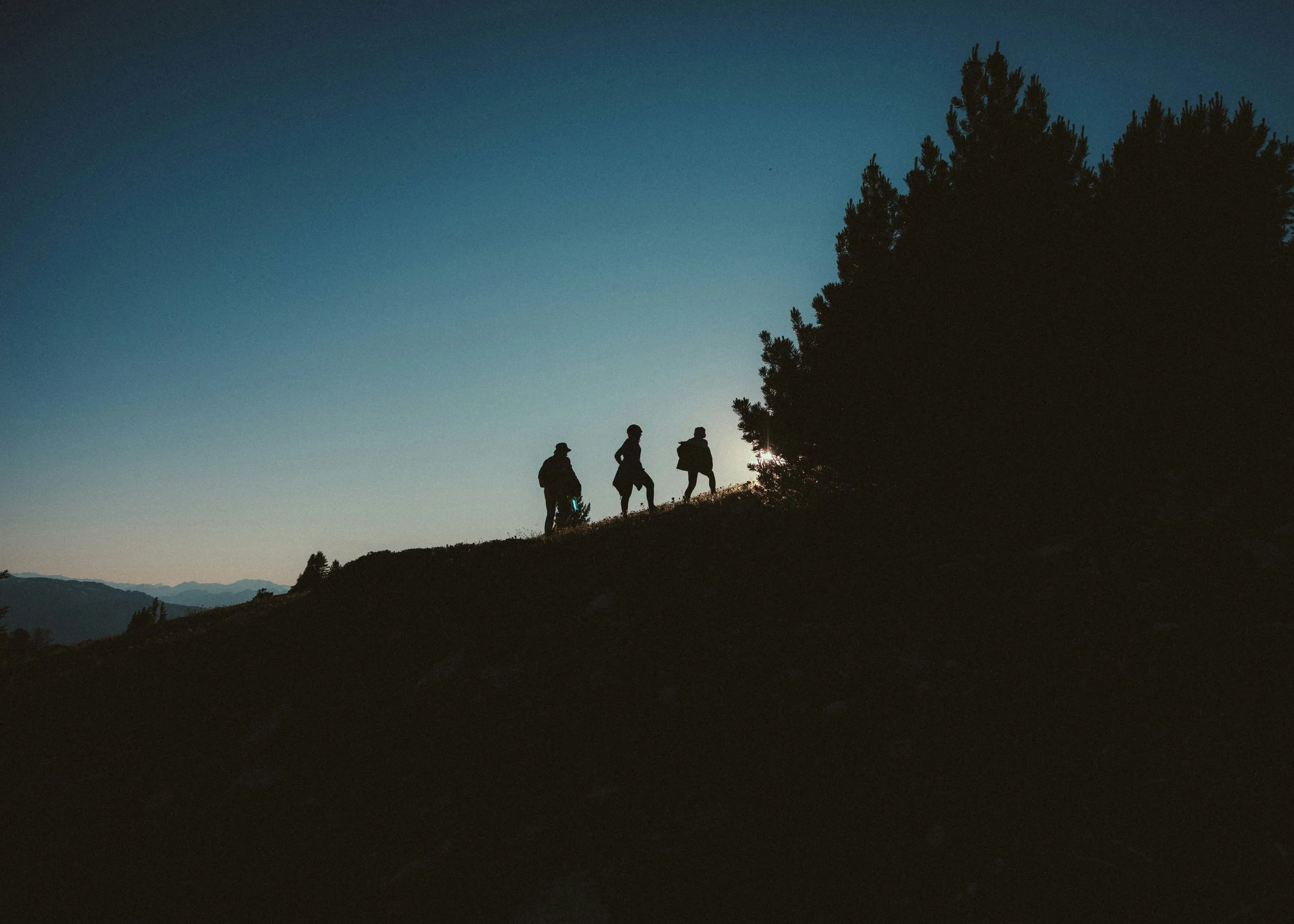 Silhouettes of four people walking on a hillside during dusk with a large tree and mountain range in the background.