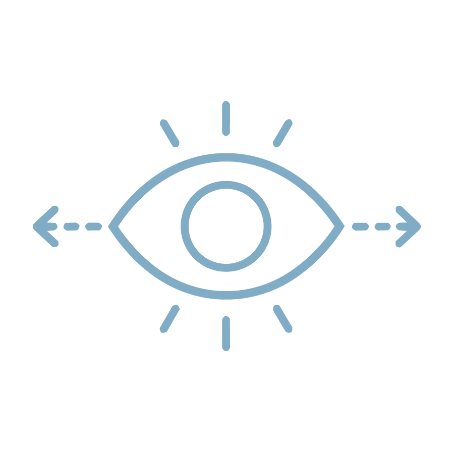 A stylized icon of an eye with lines radiating from it, with directional arrows pointing left and right, suggesting vision or observation.