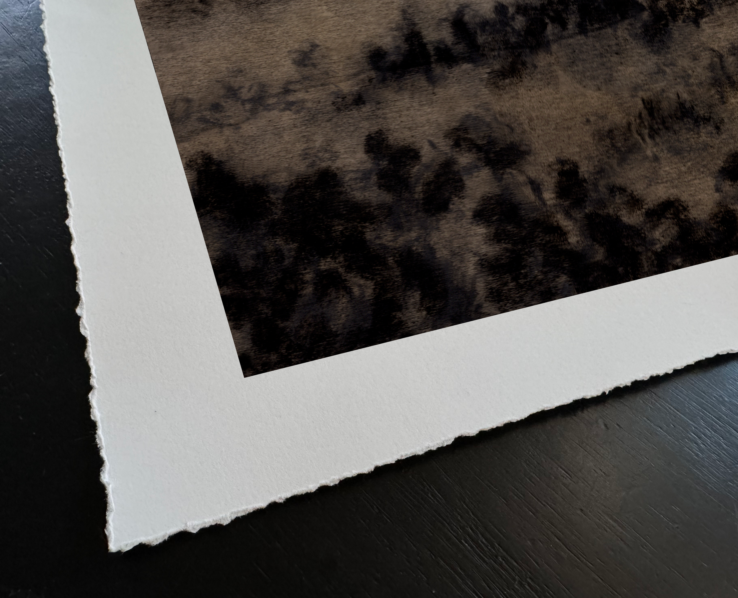 LinseyGray-ArtPrint-InDreamsXXII_TornEdgeDetail.png