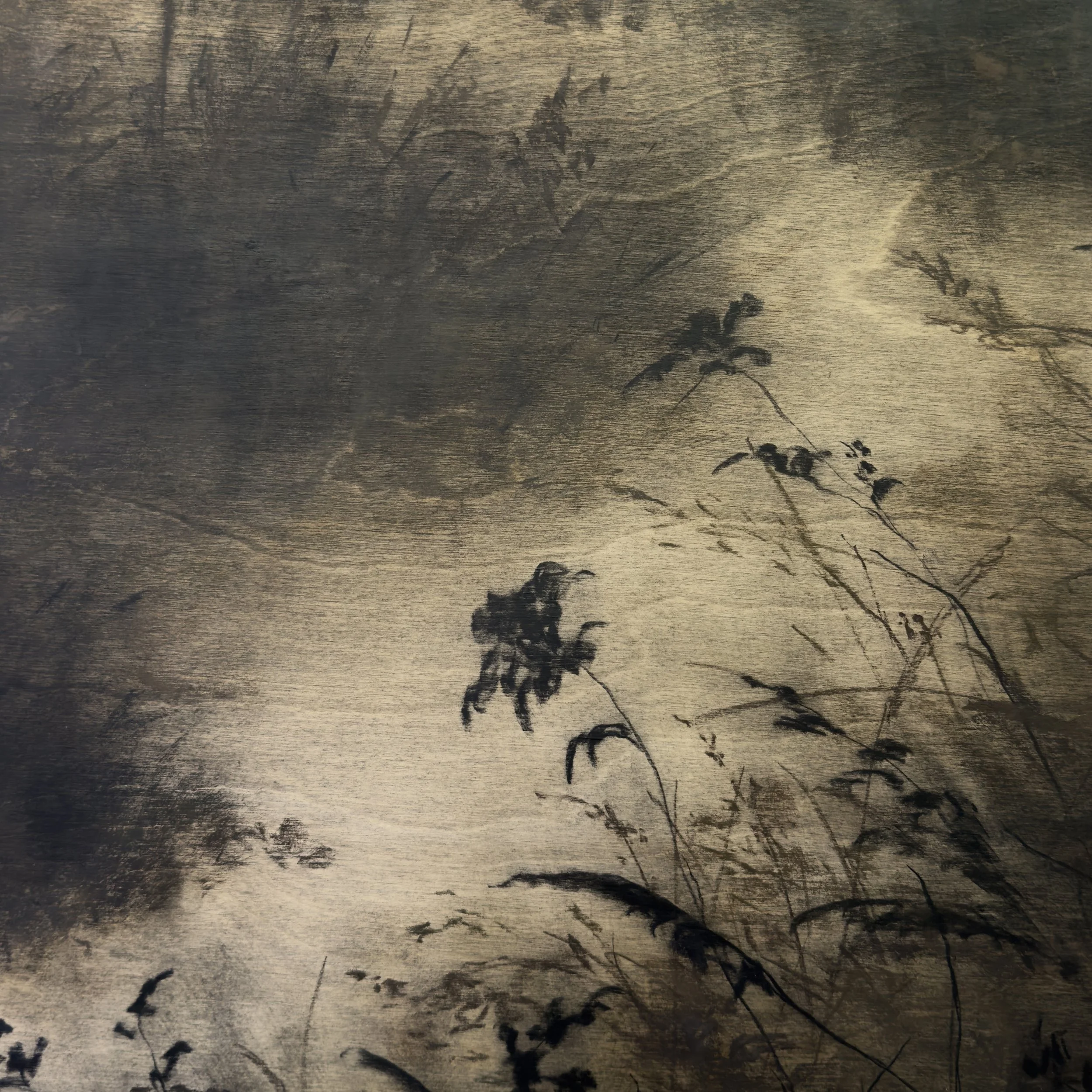 LinseyGray_OriginalArtwork-CharcoalPastelonWood_WhereIsItThatYouGo36x48-detail1.jpg
