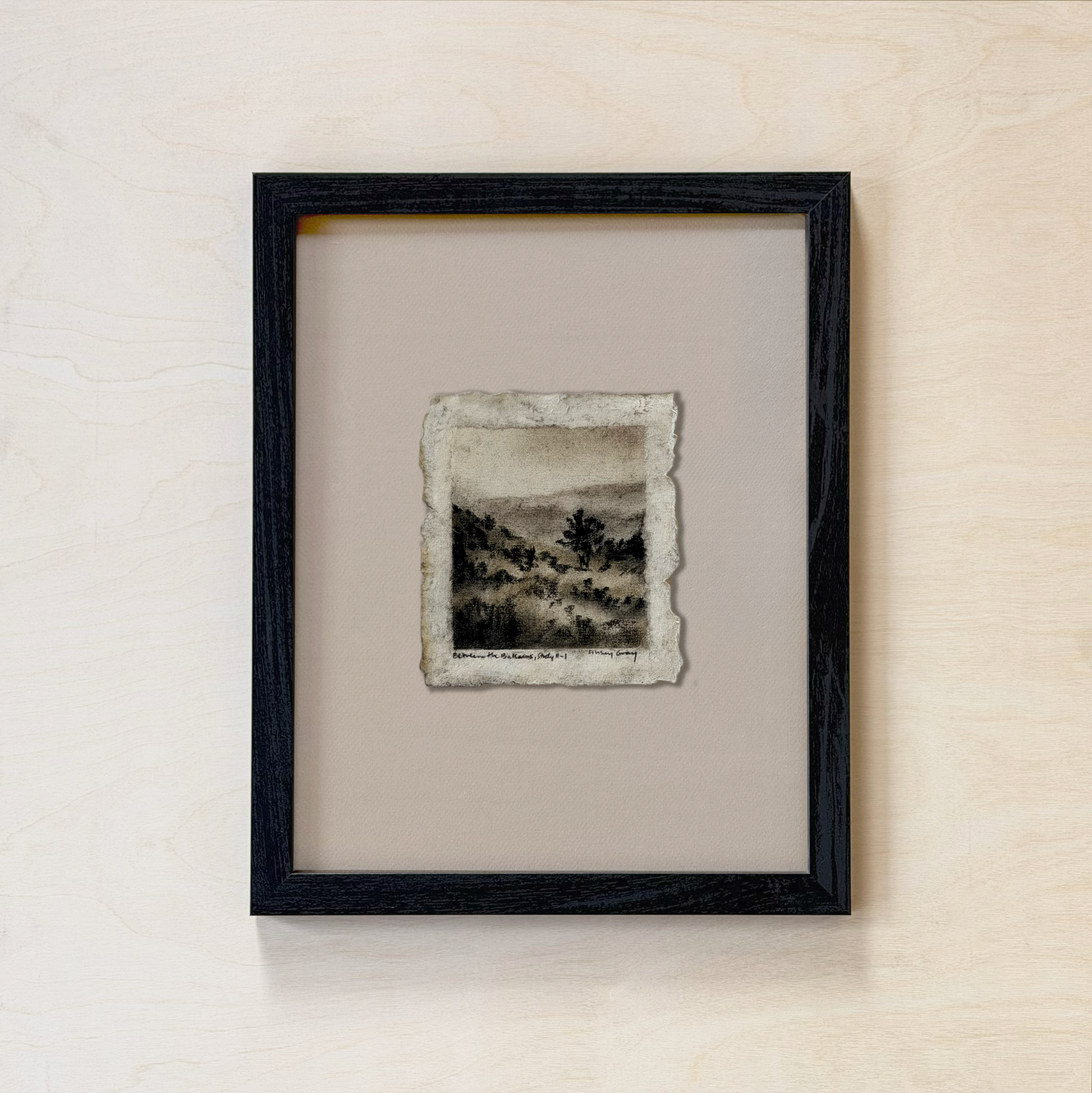 LinseyGray_PaperStudies-BetwTheBalsamsII-I_FrameOpt-Black+Ivory.png