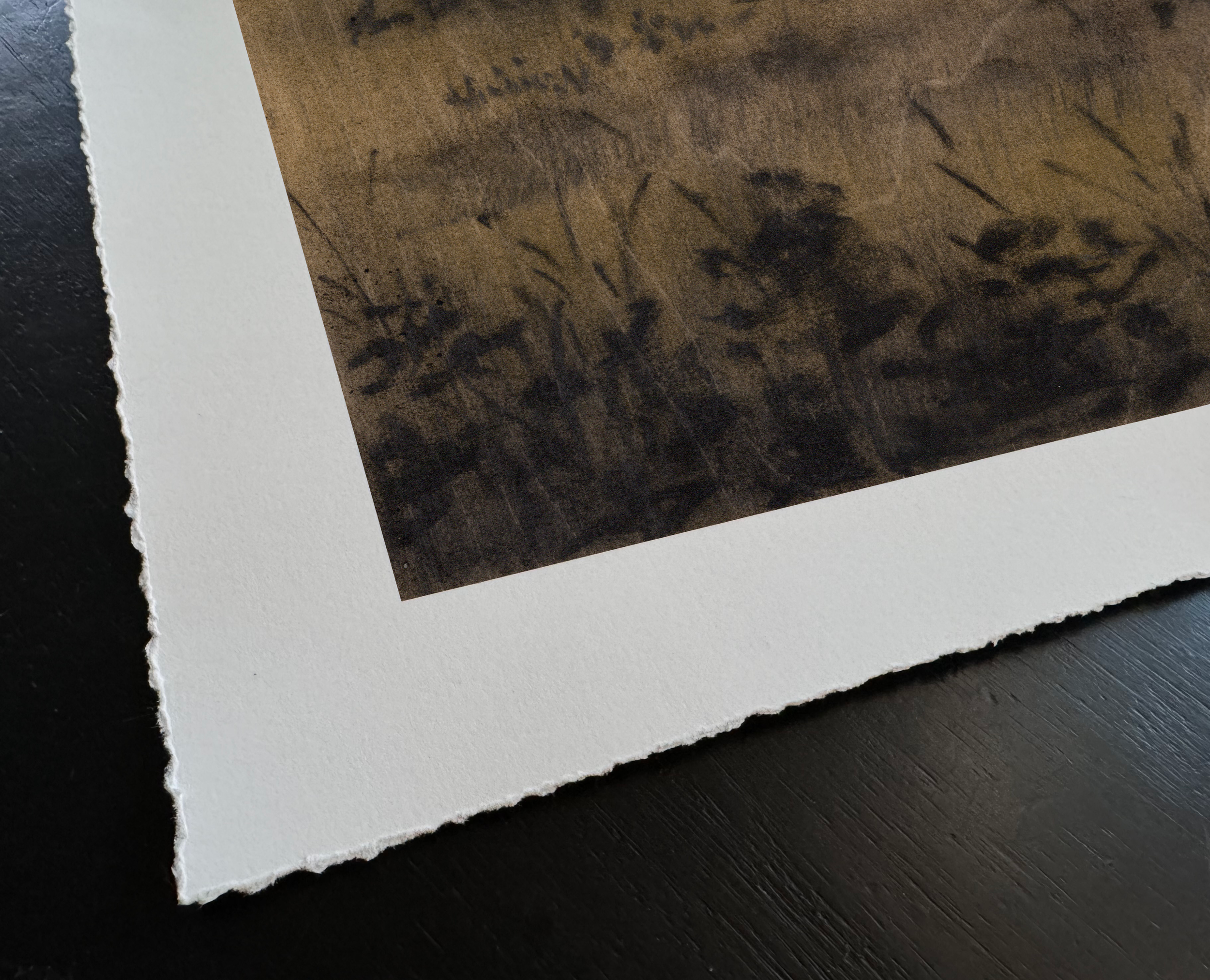 LinseyGray-ArtPrint-InDreamsVIII_TornEdgeDetail.png