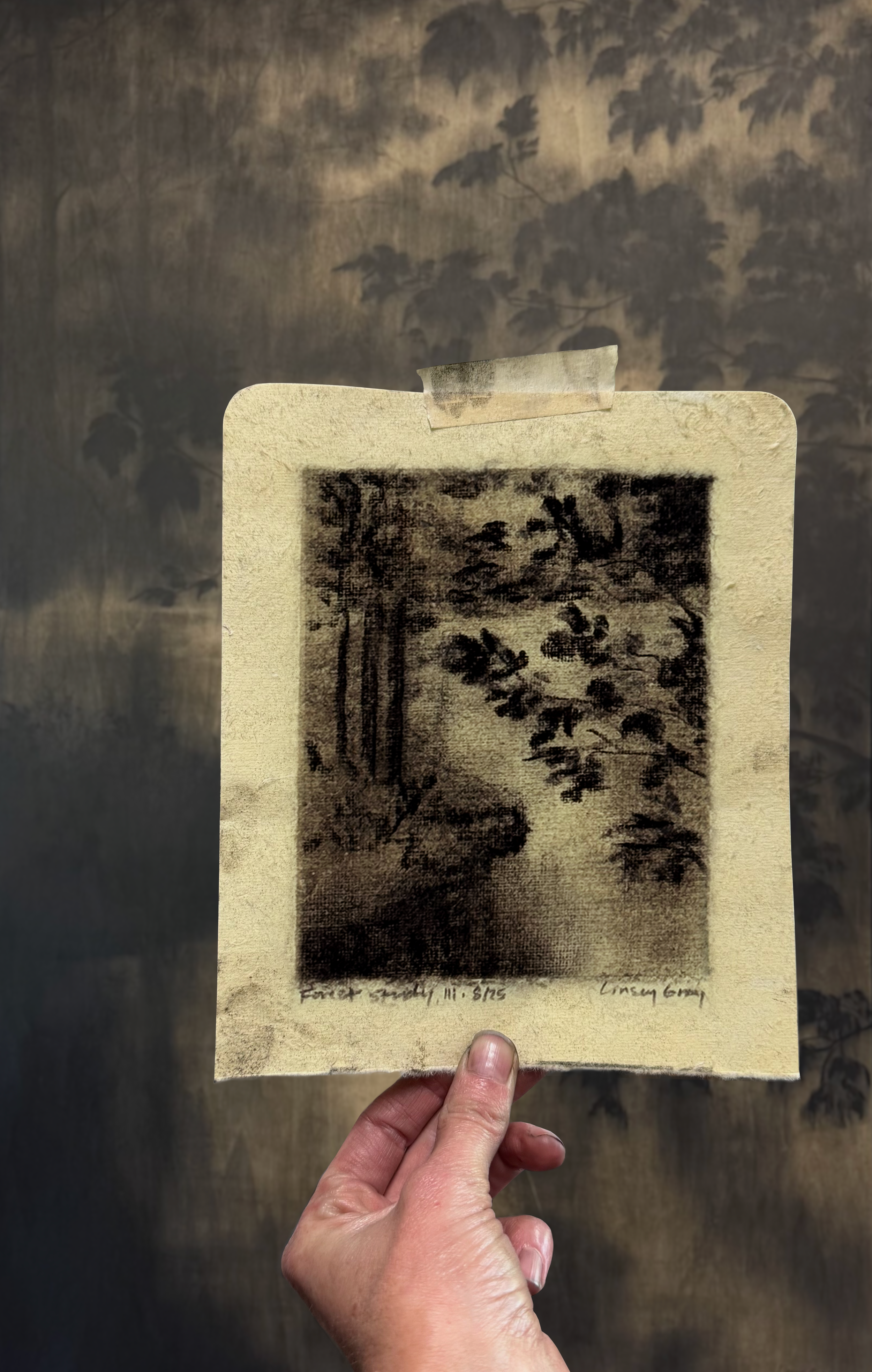 FramedPaperStudies-11x14-LinseyGray-ForestStudyIIIAug25-process.png