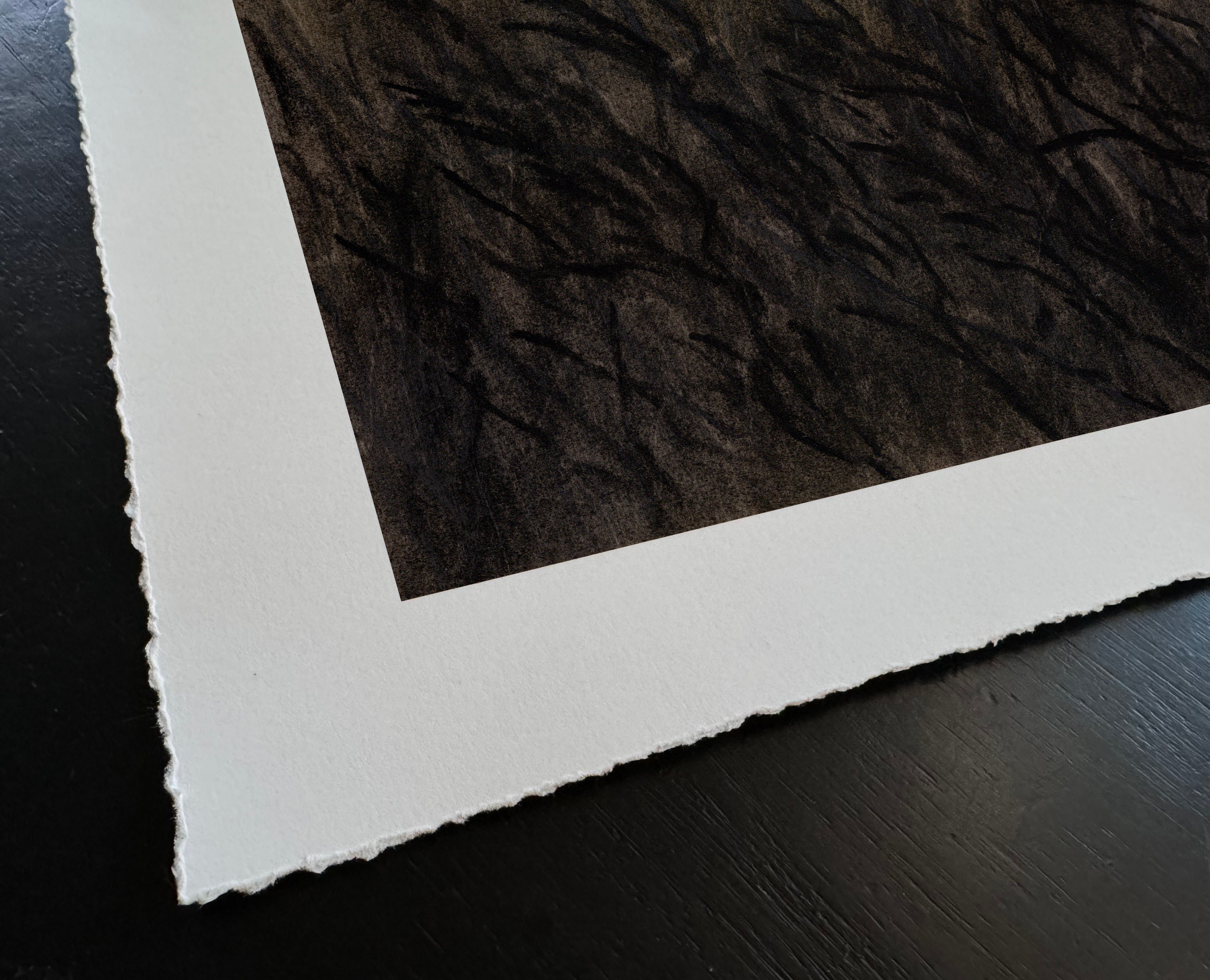 LinseyGray-ArtPrint-InDreamsVII_TornEdgeDetail.png