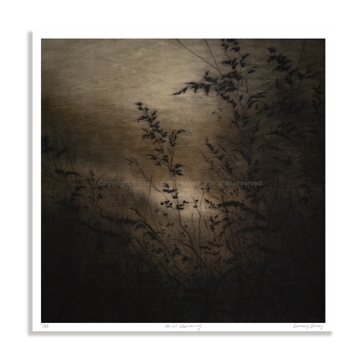 LinseyGray_LtdEdArtPrint-Fall2026_UntilMorning-thumbnail.png