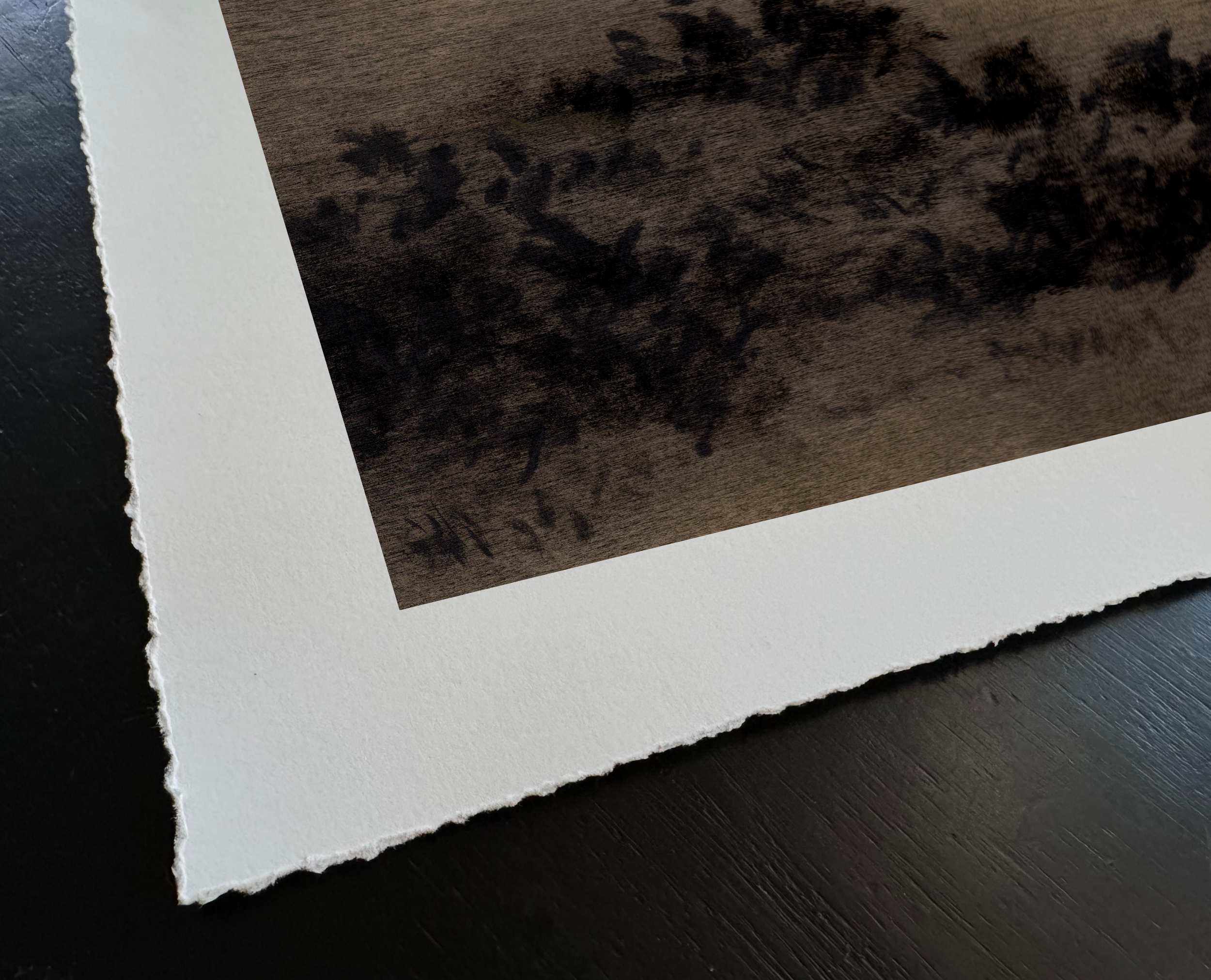 LinseyGray-ArtPrint-InDreamsXXI_TornEdgeDetail.png