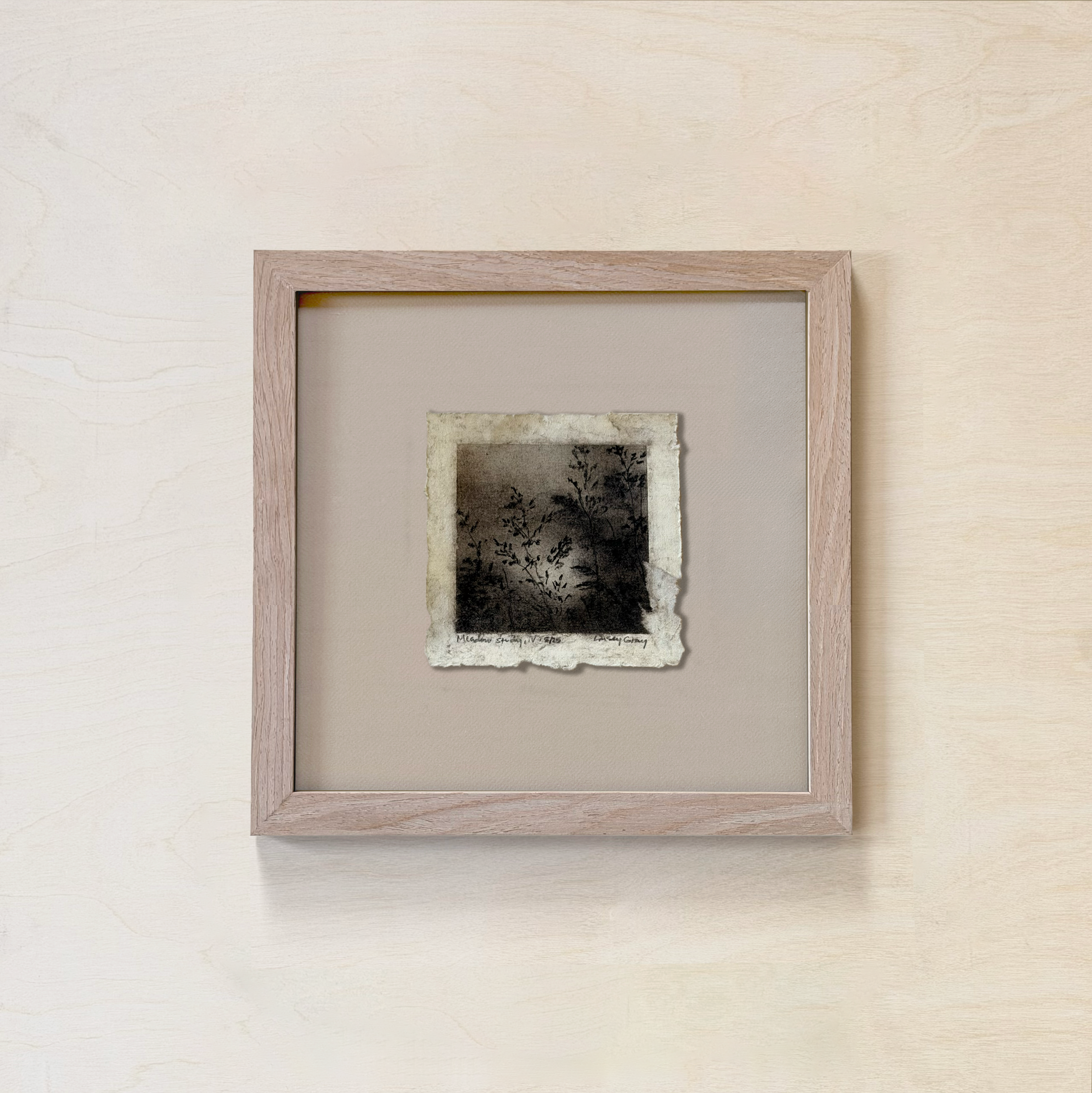 Meadow Study IV, May '25