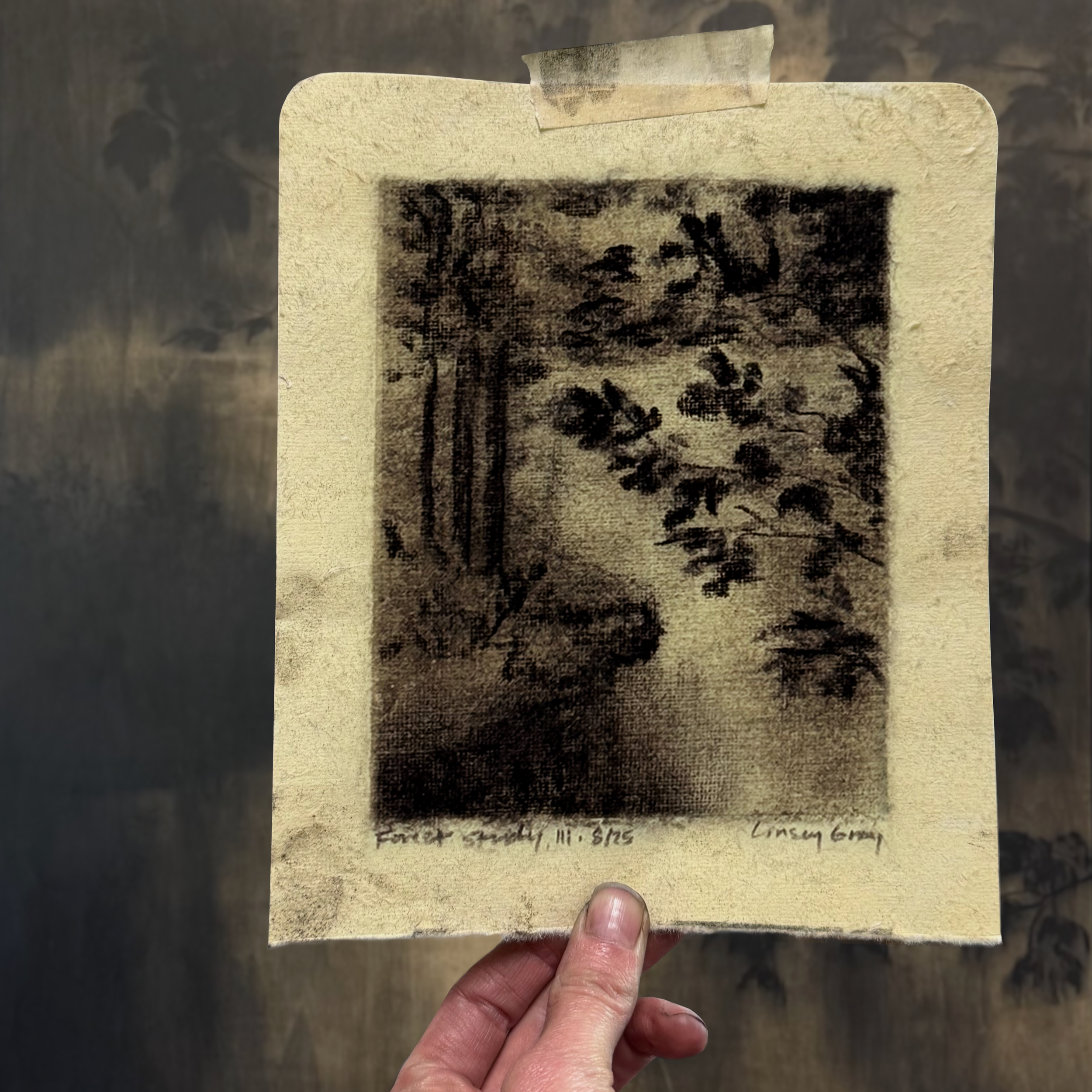 FramedPaperStudies-11x14-LinseyGray-ForestStudyIIIAug25-process.png