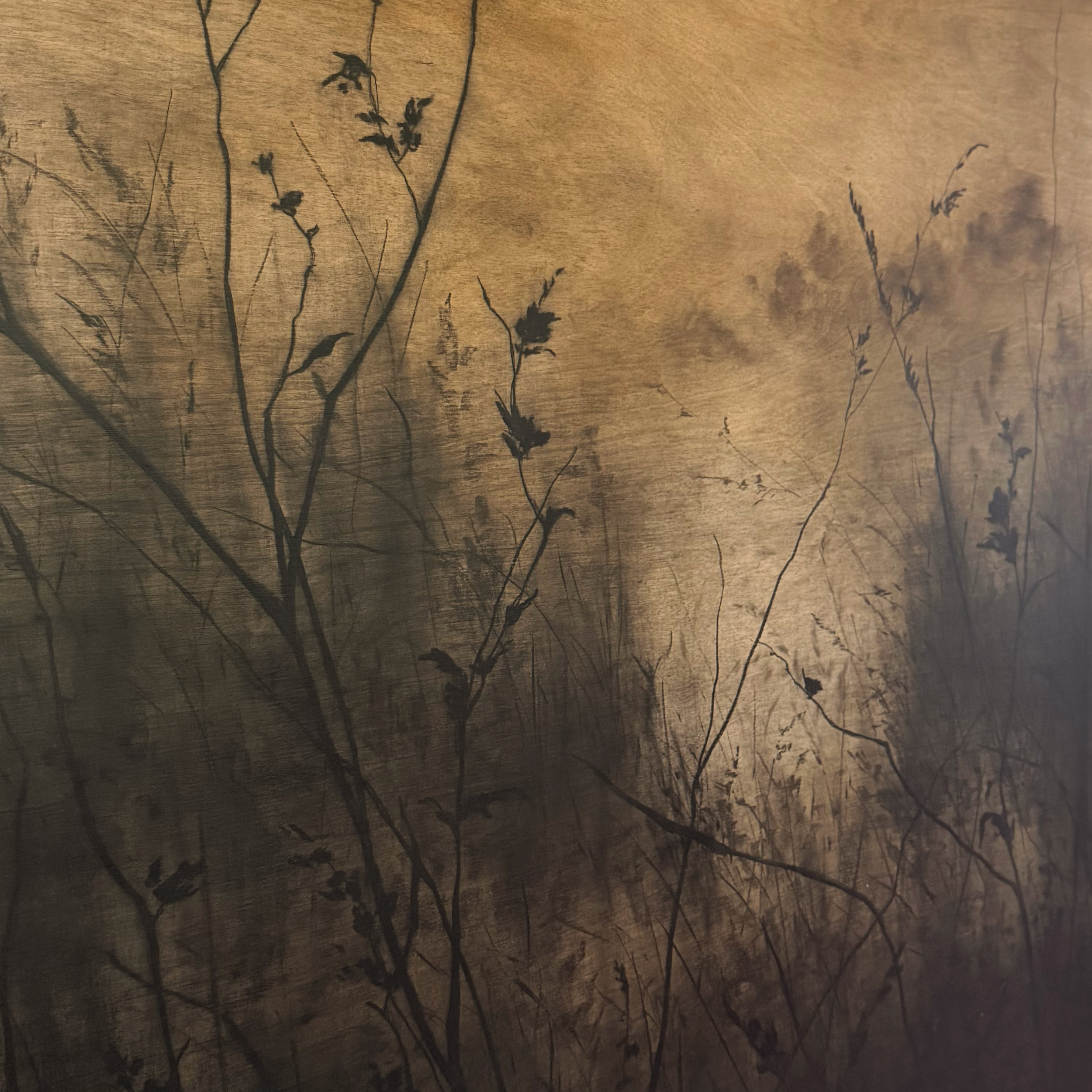 LinseyGray_OriginalArtwork-CharcoalPastelonWood_SolsticeSong36x36-detail.png