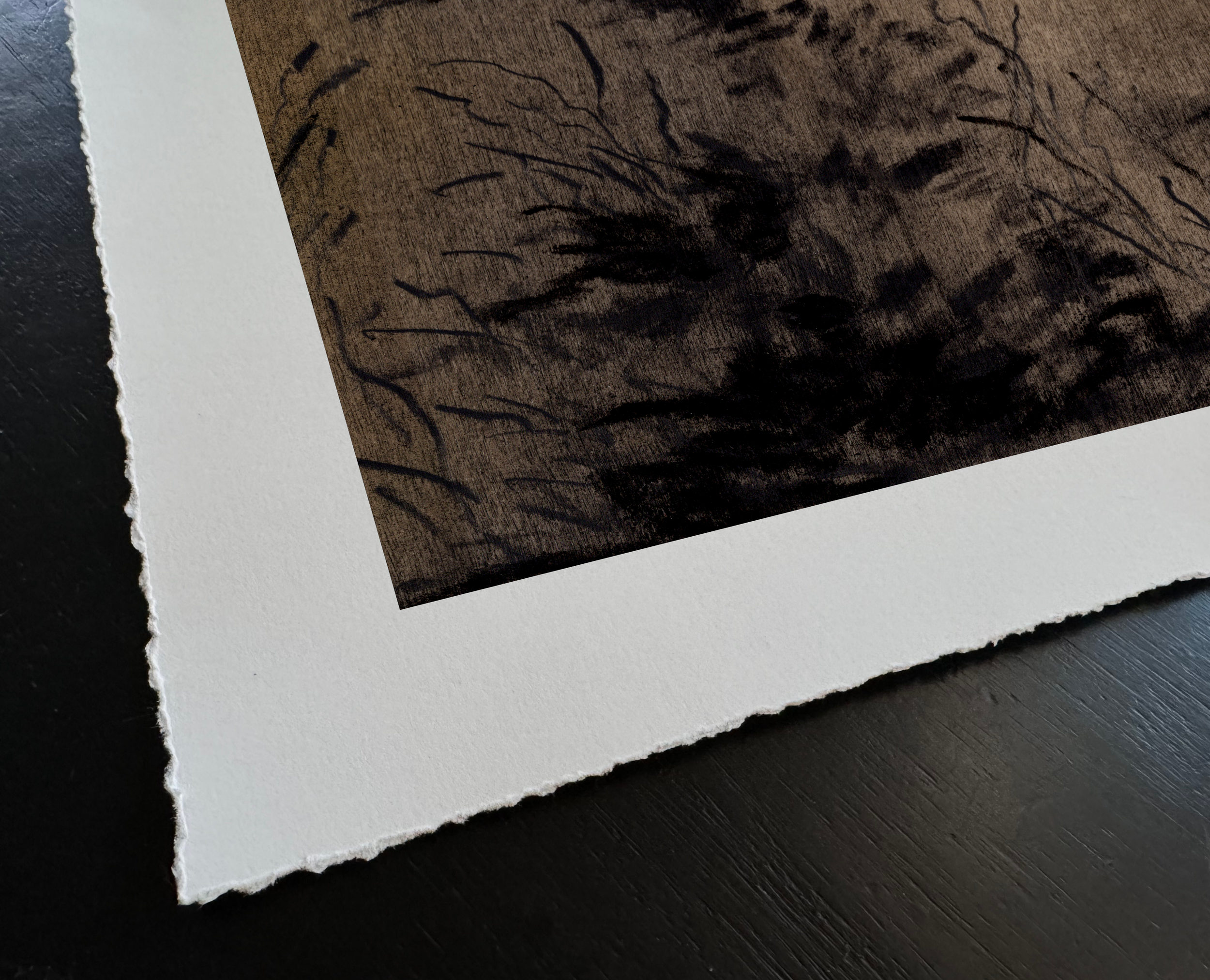 LinseyGray-ArtPrint-InDreamsXVI_TornEdgeDetail.png