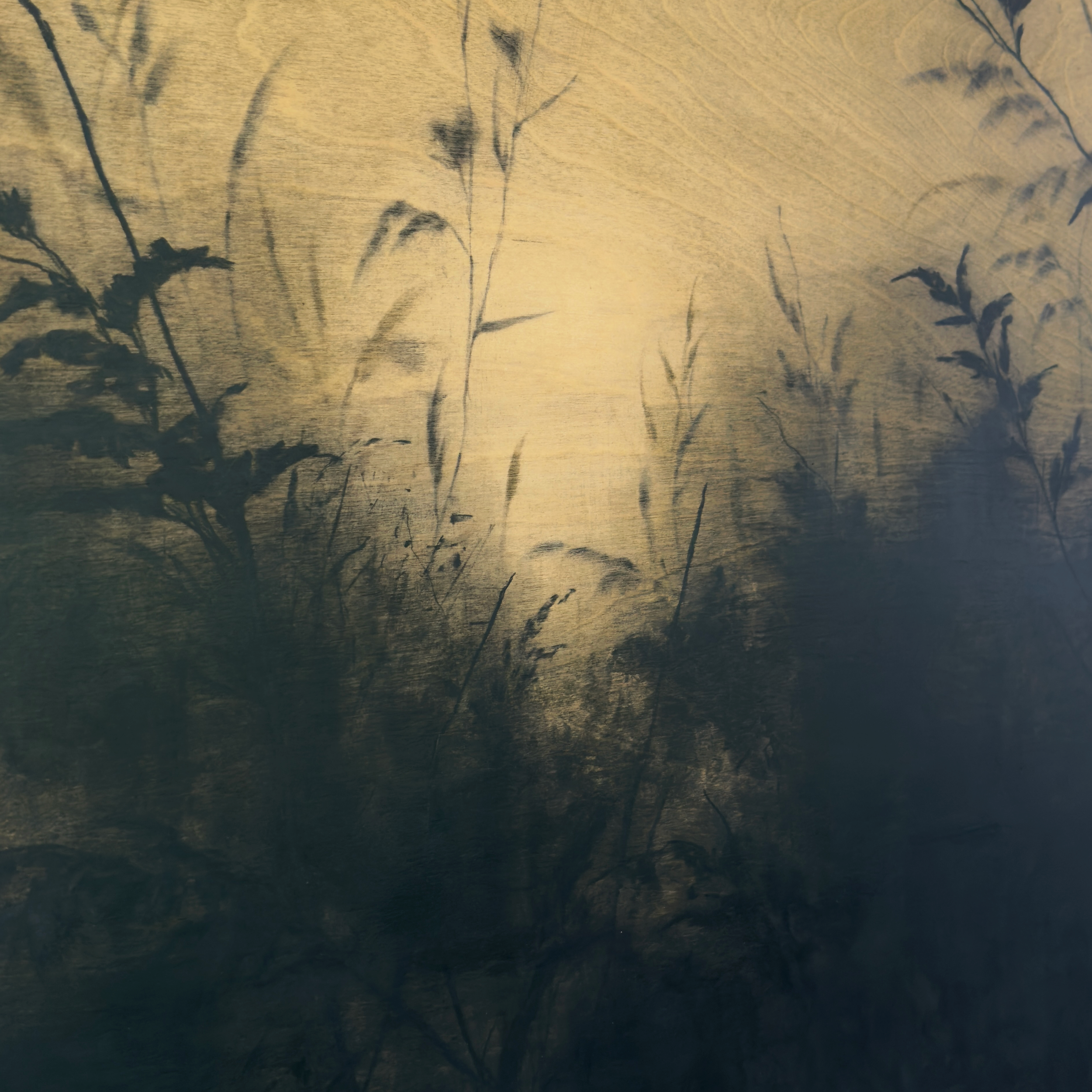 LinseyGray_OriginalArtwork-CharcoalPastelonWood_TimeStandsStillNoV24x48-detail1.png