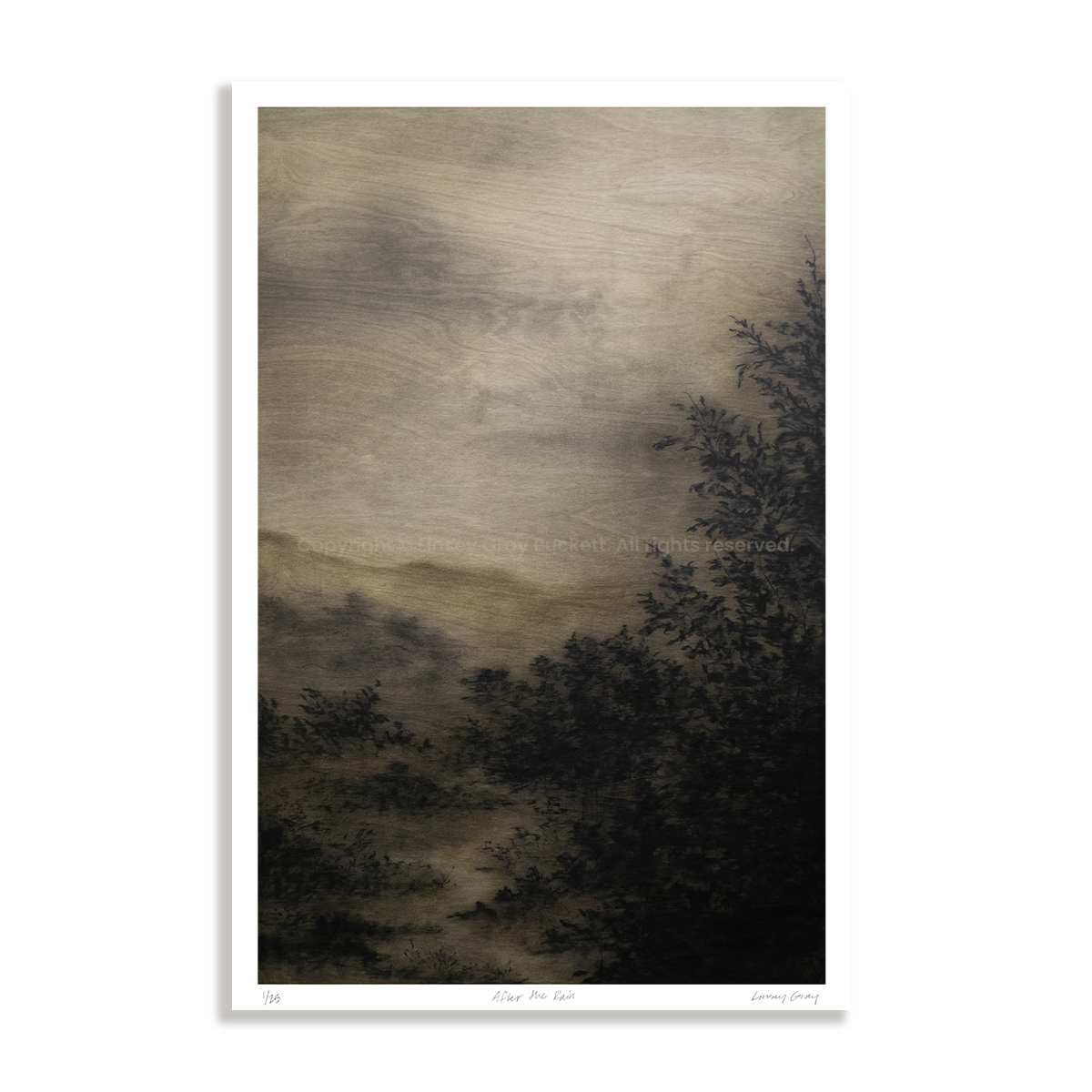 After the Rain, Limited Edition Print