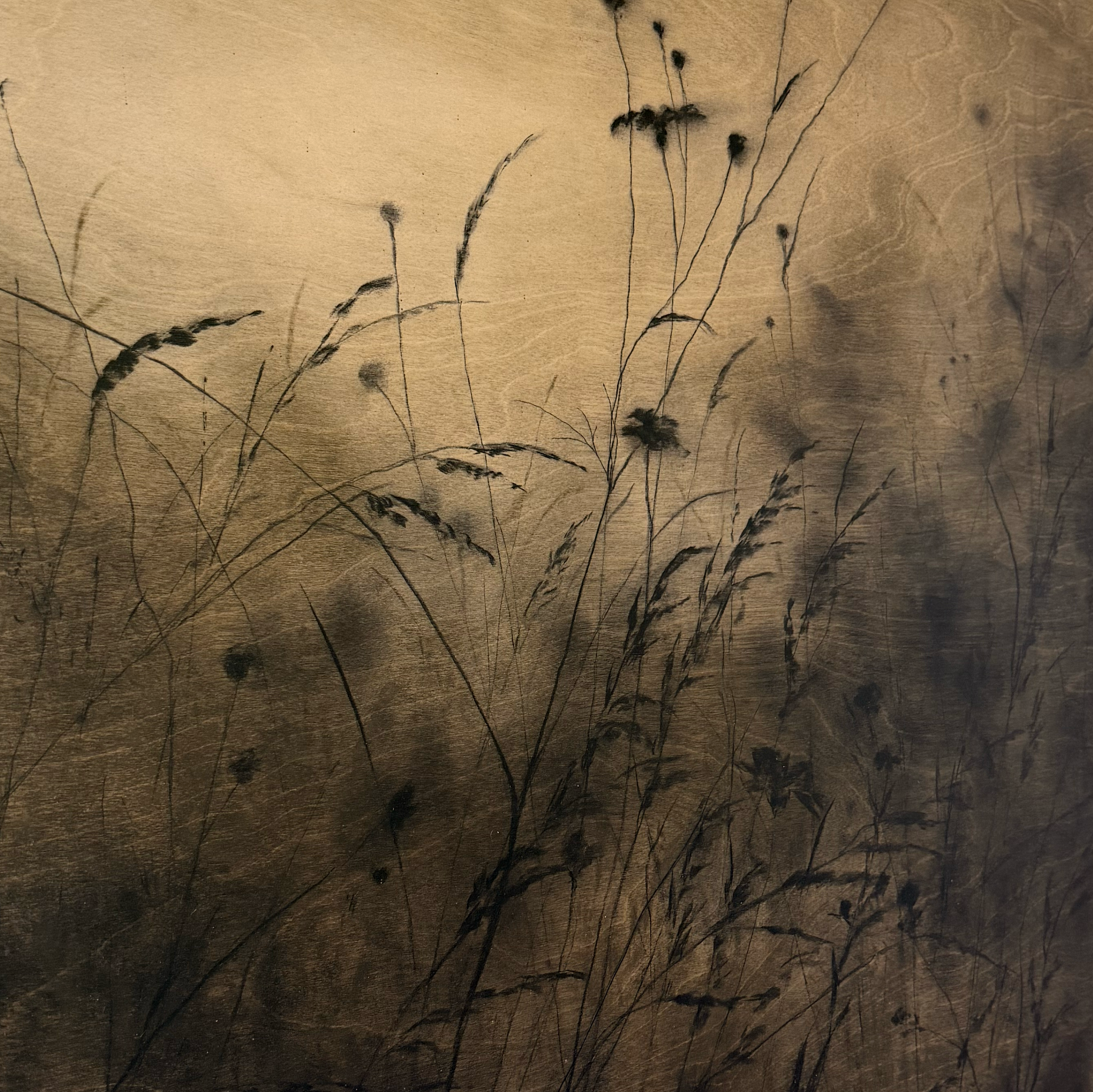 LinseyGray_OriginalArtwork-CharcoalPastelonWood_SilentShadows24x24-detail.png