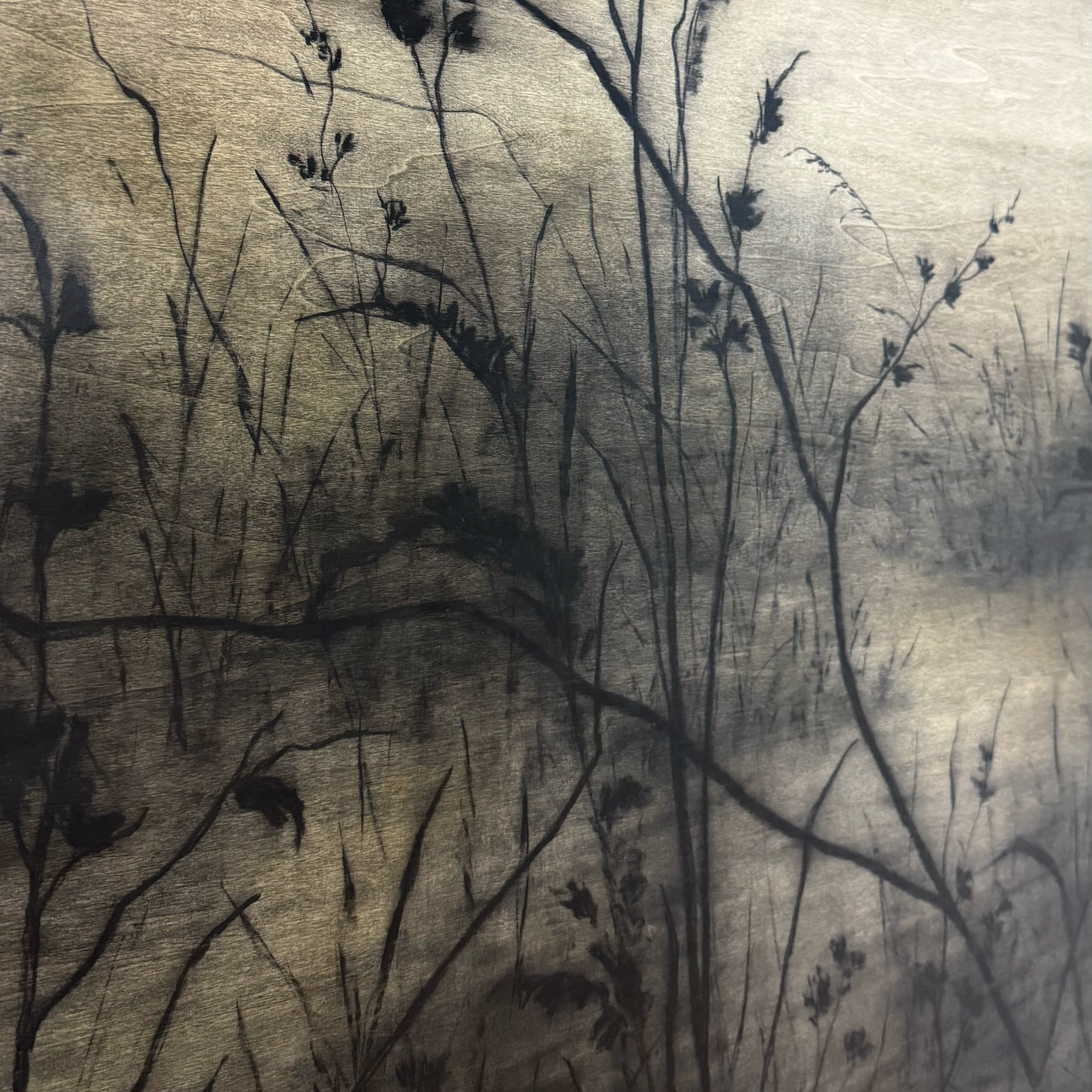 LinseyGray_OriginalArtwork_CharcoalOnWood-BreatheNowExhibition2025-DriftInAndOut48x60-detail.png