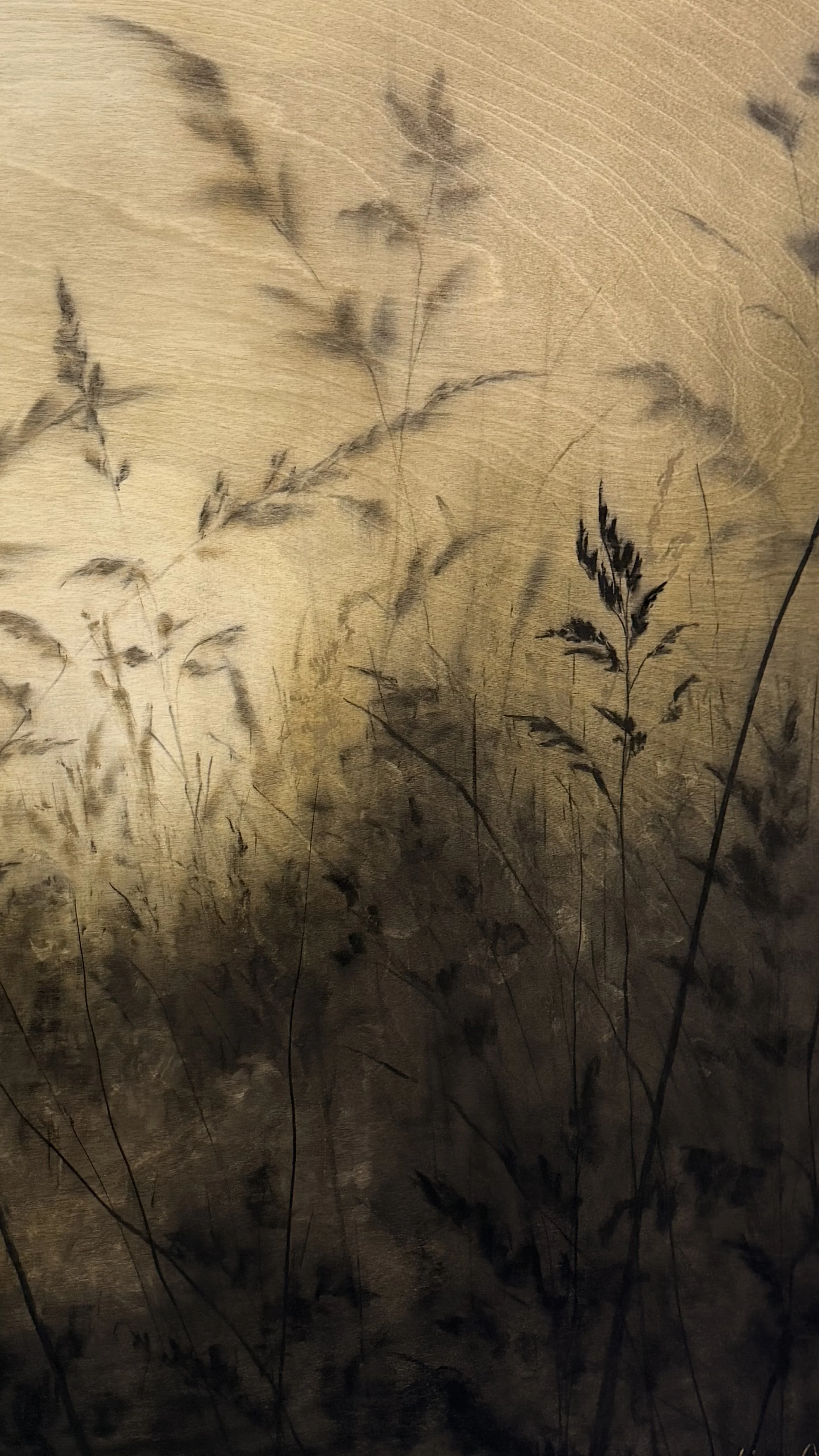Ends of the Earth, Solo Exhibition at Table Asheville