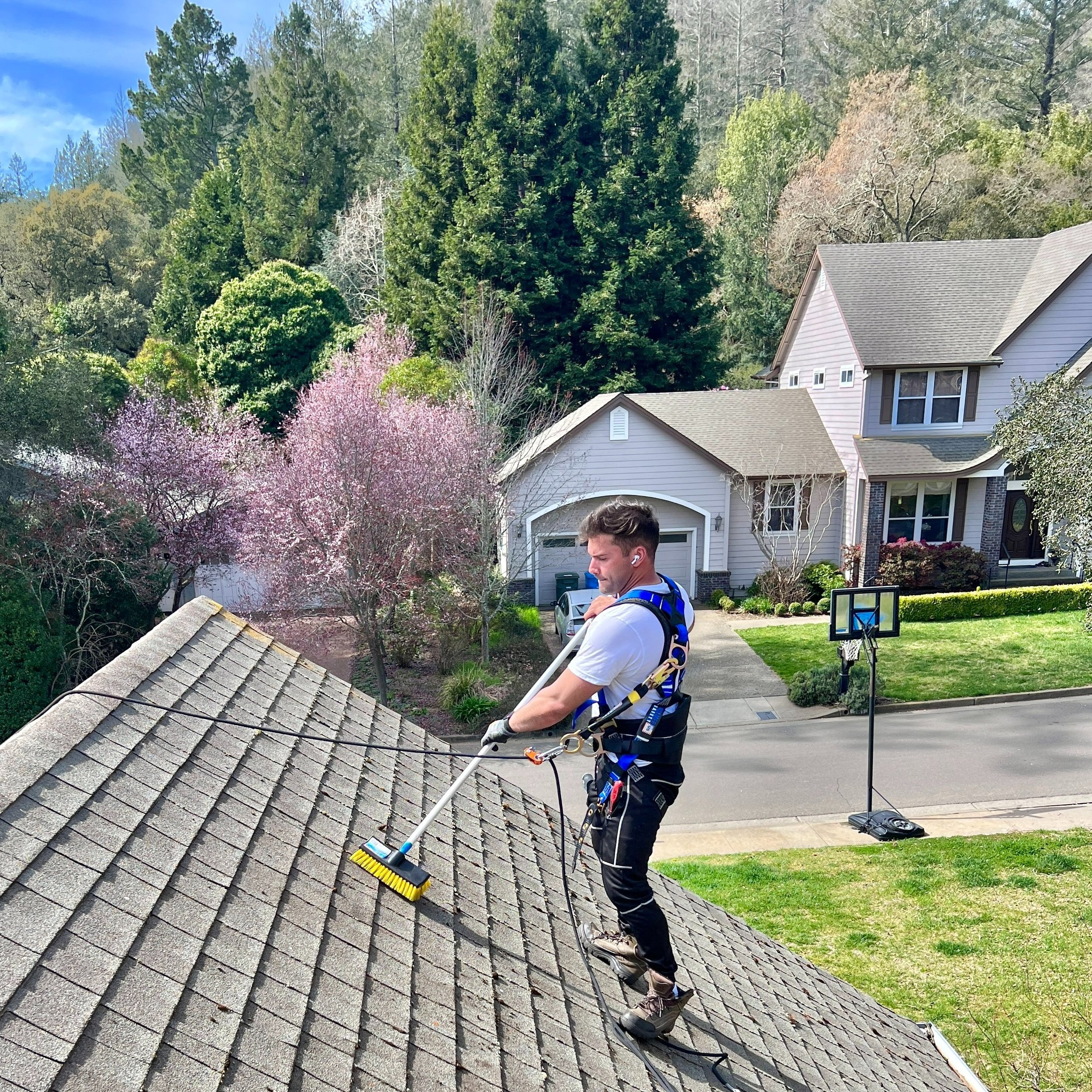 Roof Cleaning in Hampton VA