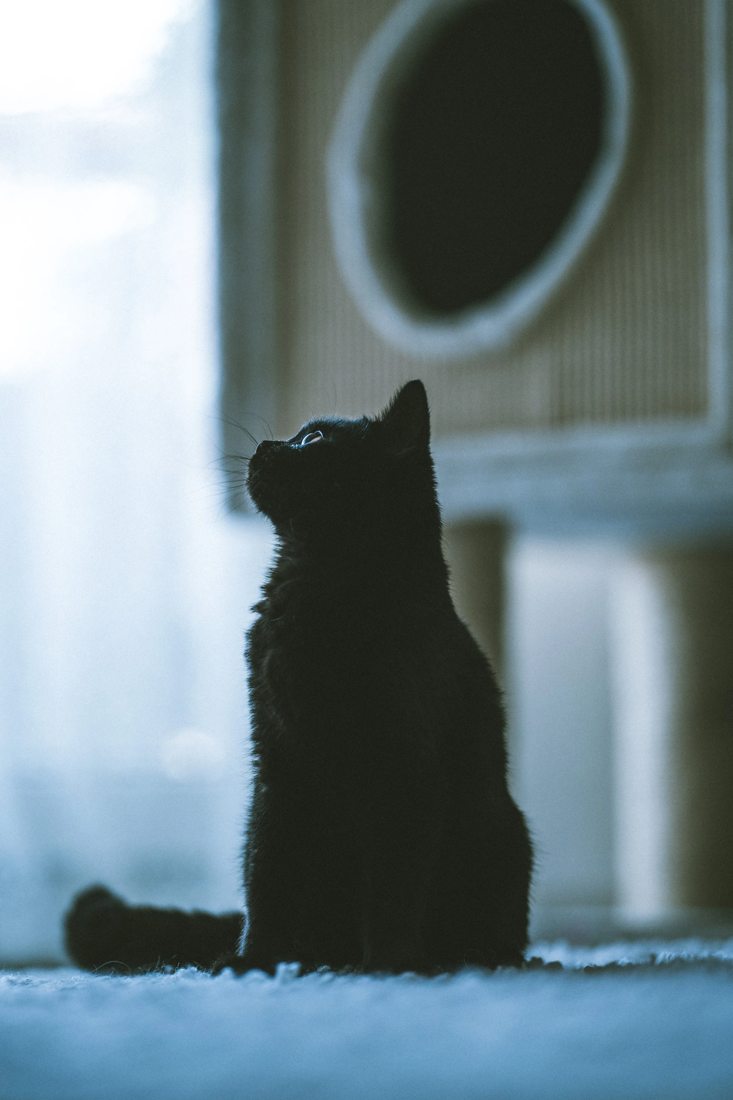omar-ram-AR0aEvnz78g-unsplash.jpg