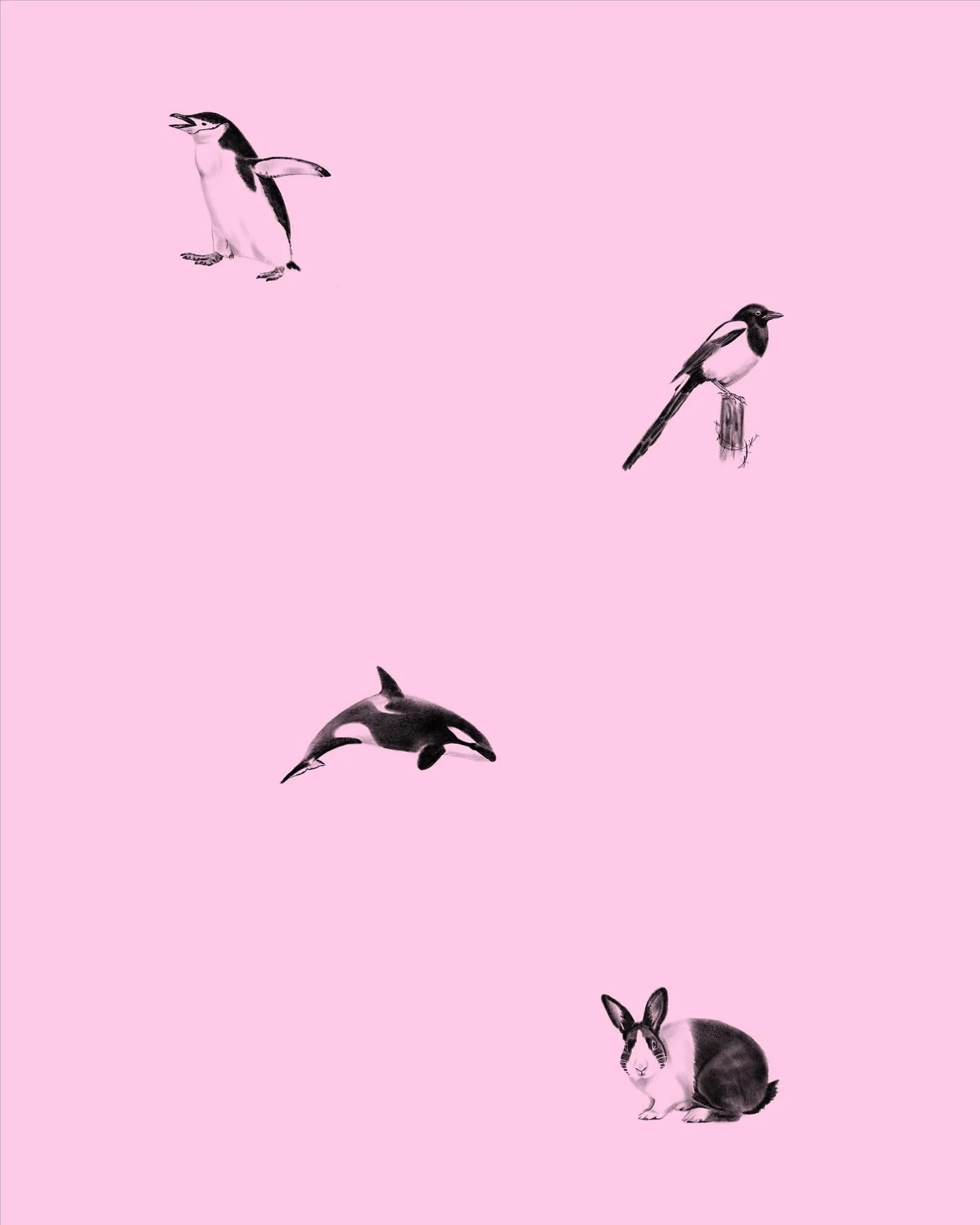 My books 📅 are open for flash and a limited number of custom pieces for August - November. I have added new flash designs to my library (see the &ldquo;available&rdquo; story highlight) over the past few weeks, including some smaller designs, sized 