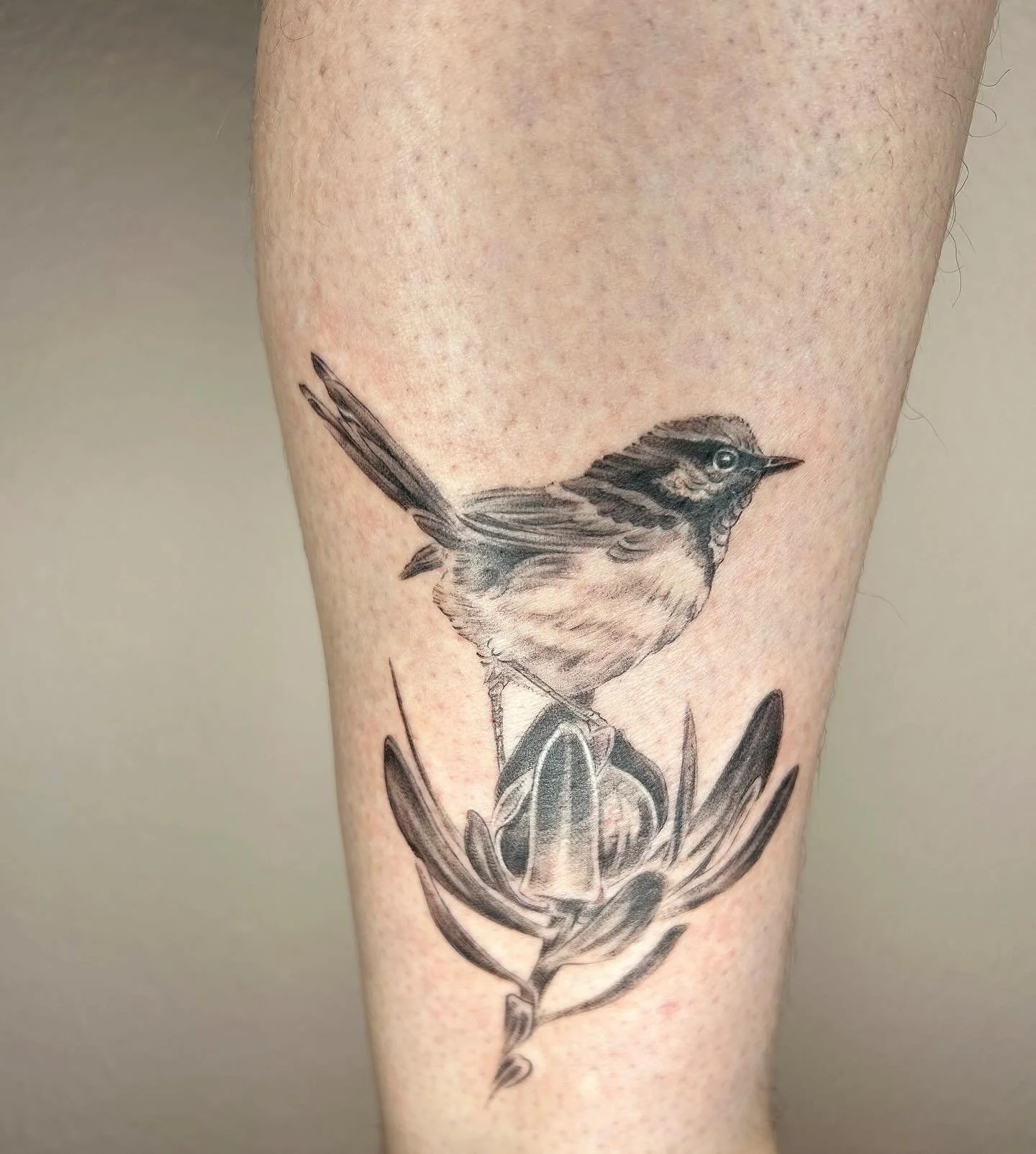 fairy wren 🐦 on a flower 🌺 for rachel! thanks 😊. 

#horseface #horsefacetattoo #keepsaketattoopdx #keepsaketattoo #queertattooer #qttr  #queerpdx #pdx #portland #pdxtattoo #pdxtattooartist #portlandtattoo #portlandtattooartist #tattoo #oregontatto