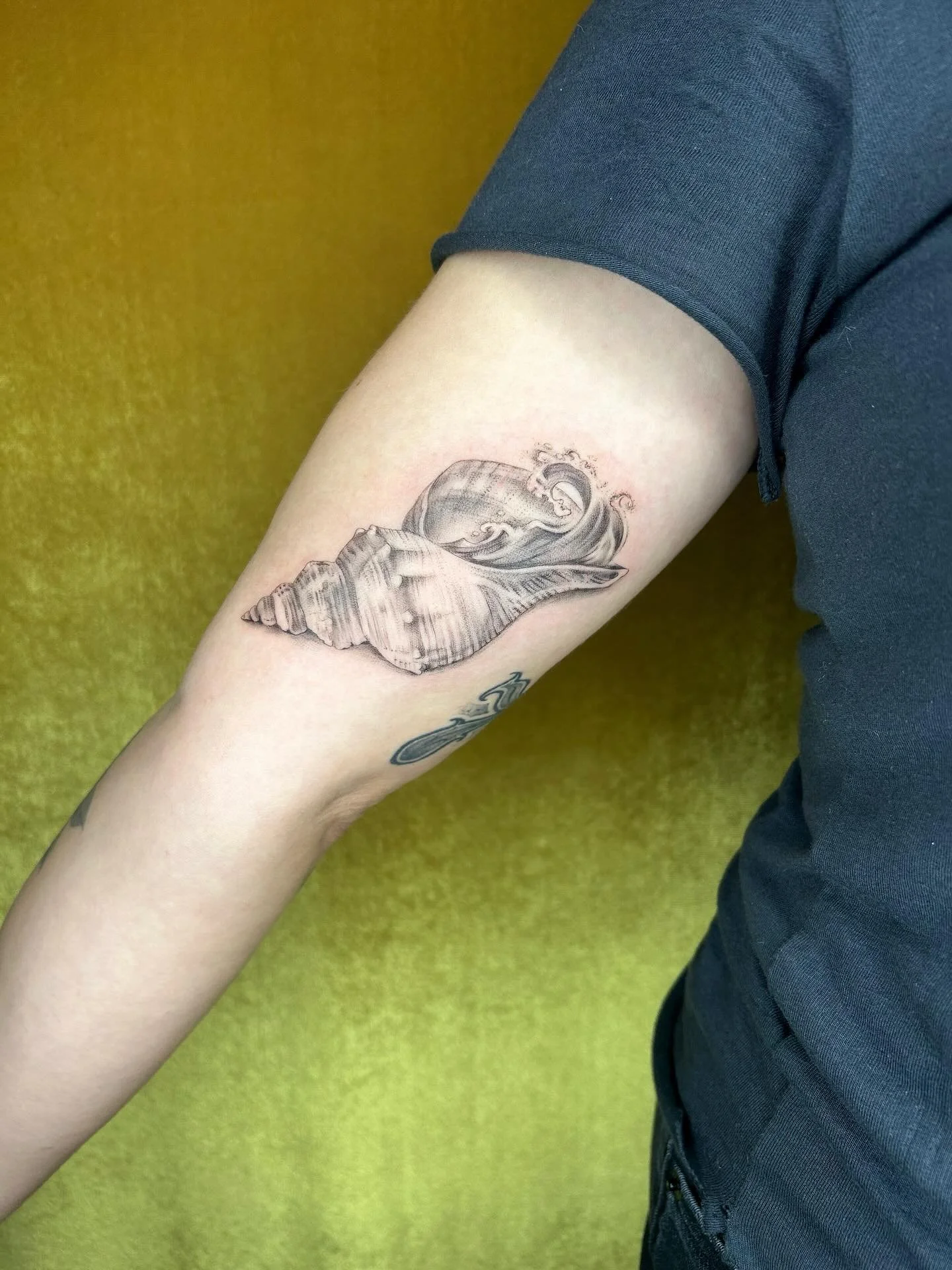 custom ocean 🌊 waves in a shell 🐚 piece for lindsey. thanks for the cool idea 💡, i hope you had an amazing time in portland! 

#horseface #horsefacetattoo #keepsaketattoopdx #keepsaketattoo #queertattooer #qttr  #queerpdx #pdx #portland #pdxtattoo