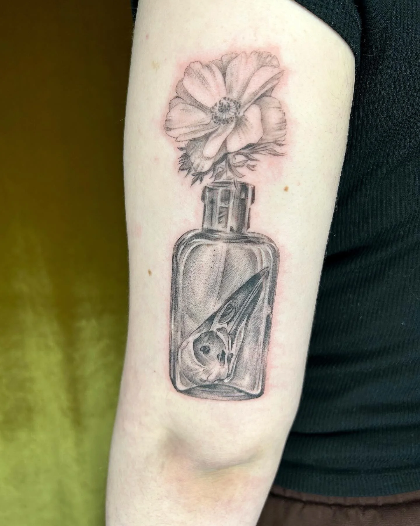bird skull ☠️ in a bottle. thanks 😊 so much, emma!

#horseface #horsefacetattoo #keepsaketattoopdx #keepsaketattoo #queertattooer #qttr  #queerpdx #pdx #portland #pdxtattoo #pdxtattooartist #portlandtattoo #portlandtattooartist #tattoo #oregontattoo
