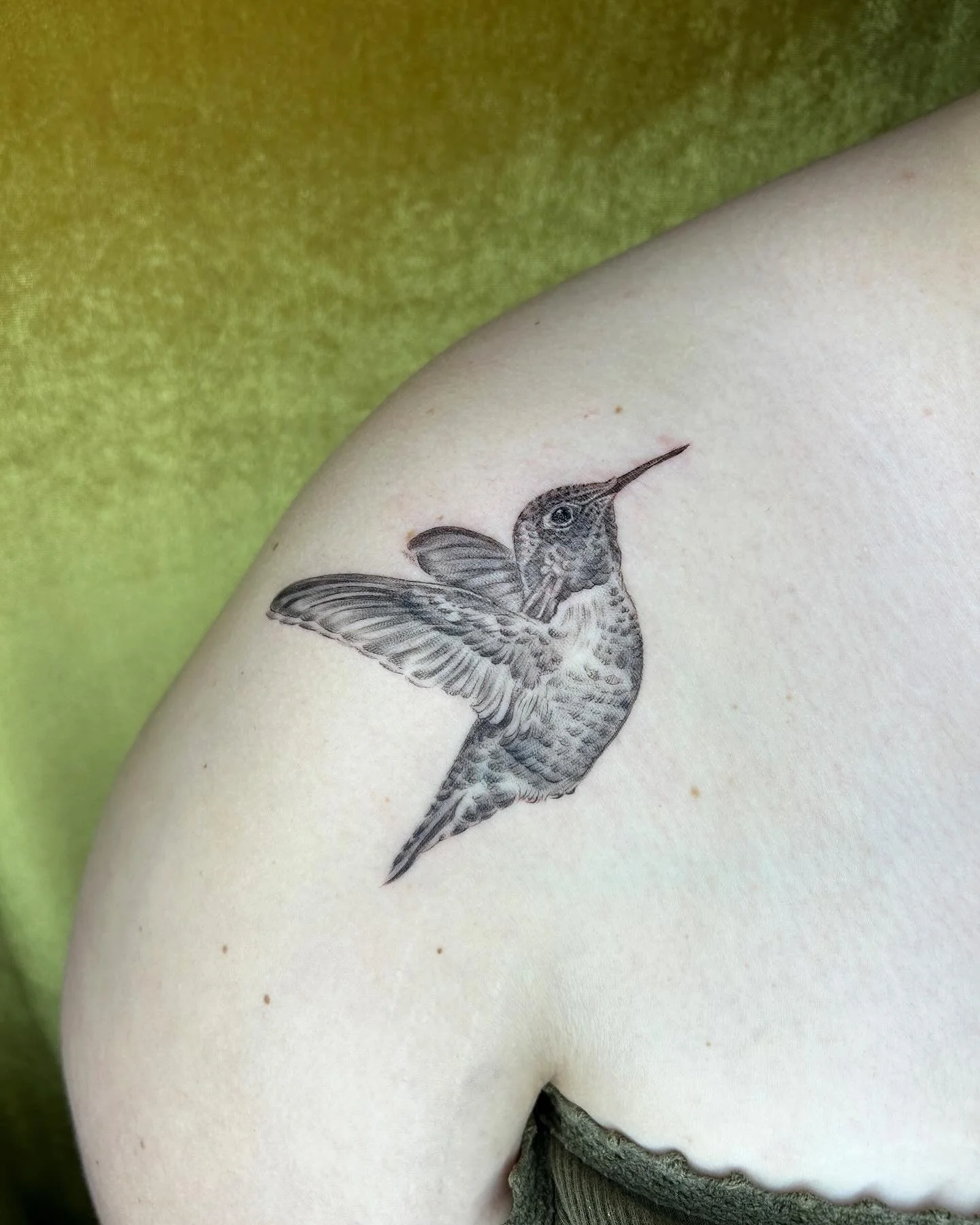 hummingbird for olivia! thank you so much. 

#horseface #horsefacetattoo #keepsaketattoopdx #keepsaketattoo #queertattooer #qttr  #queerpdx #pdx #portland #pdxtattoo #pdxtattooartist #portlandtattoo #portlandtattooartist #tattoo #oregontattooartist #