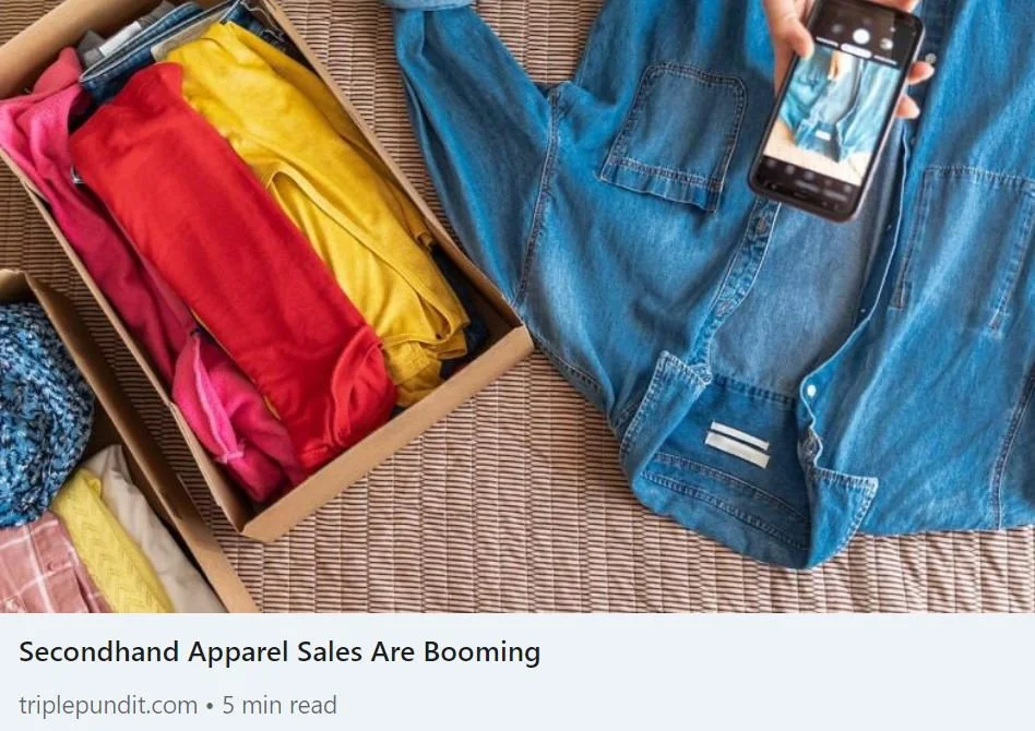 Sustainable Apparel &amp; Fashion