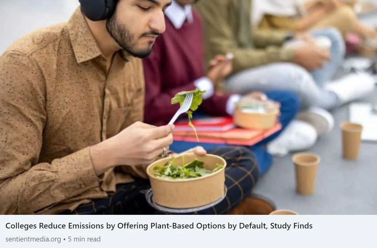 Sustainable Food - Plant-Based