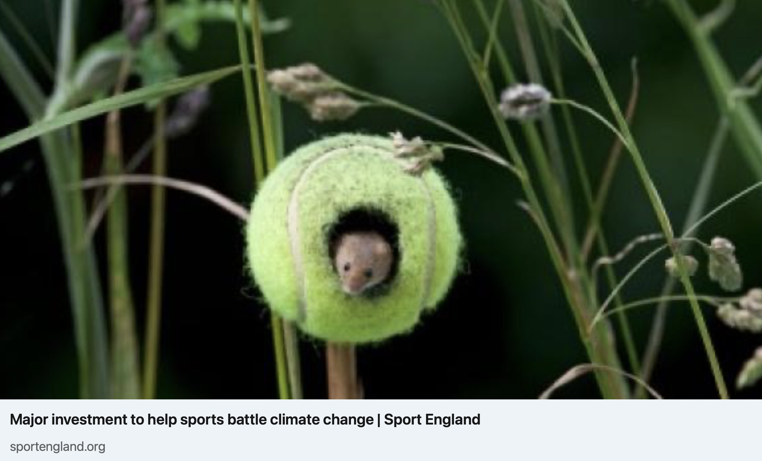 Spotlight: Sustainable Sport News Highlights