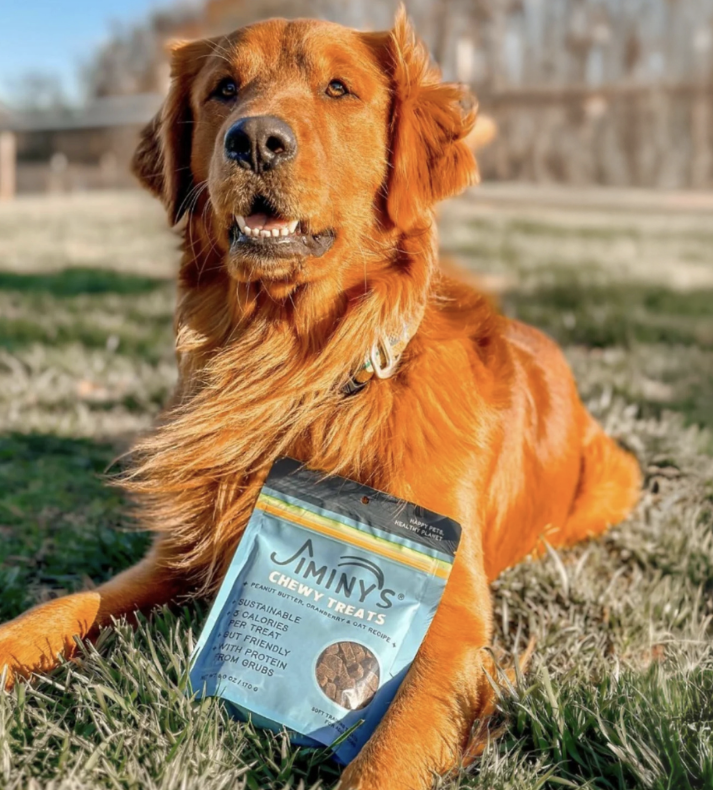 Jiminy’s Is Making a Smaller Pawprint With Insect-Based Pet Food