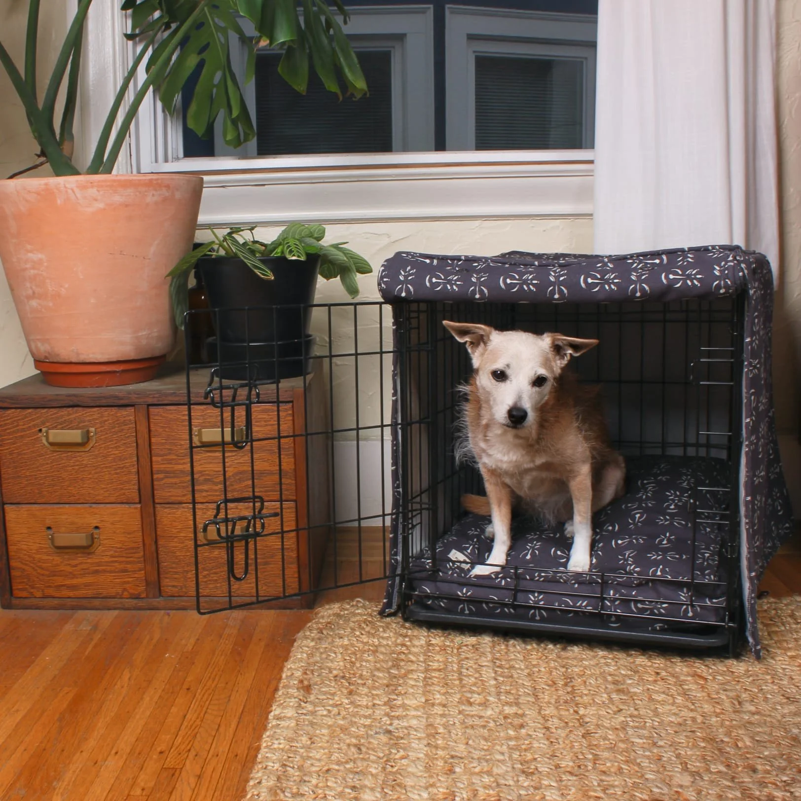 Small dog sitting inside a crate with a patterned Molly Mutt cover and cushion in a cozy home corner with plants and wooden furniture