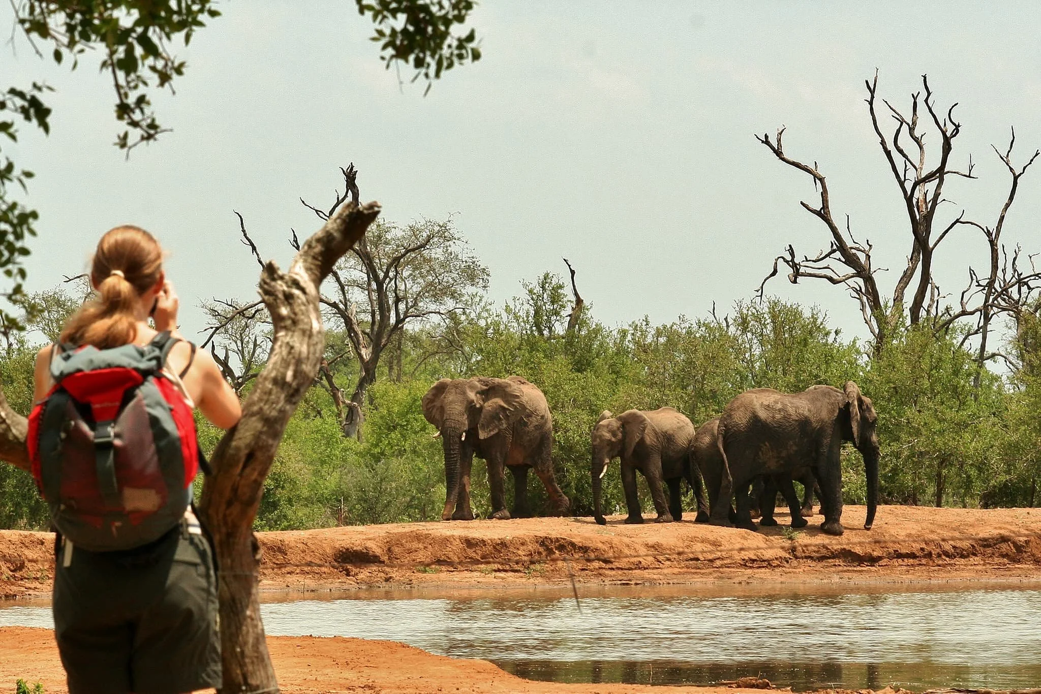Much Better Adventures Launches a New Kind of Wildlife Trip