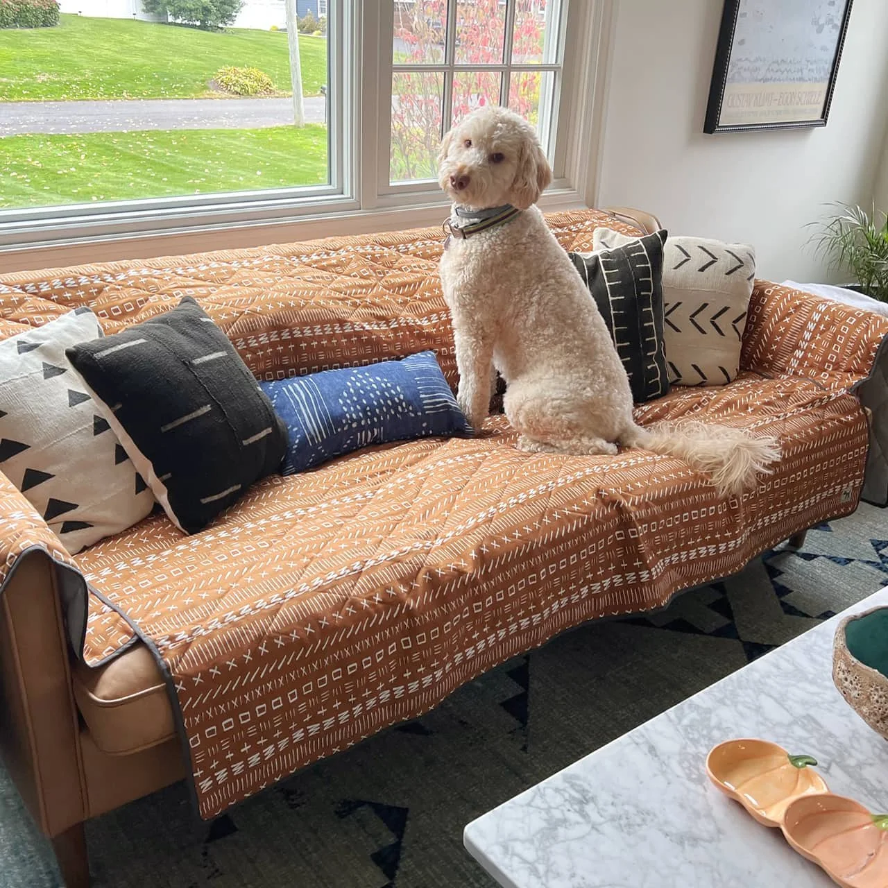 Dog sitting on a patterned Molly Mutt couch cover in a bright living room with pillows and large windows