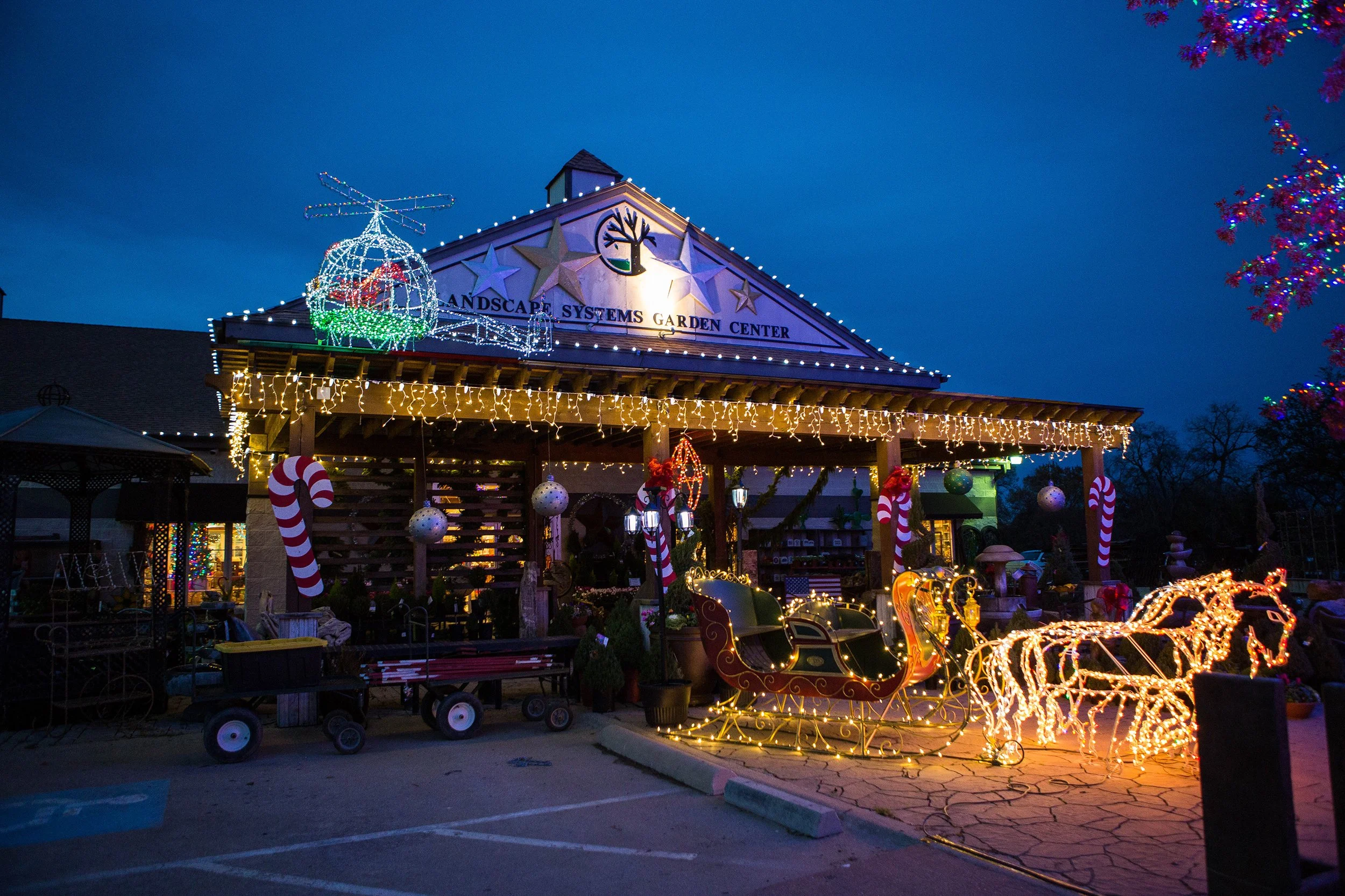 Southlake Texas Christmas Tree Farm (29 of 50).jpeg