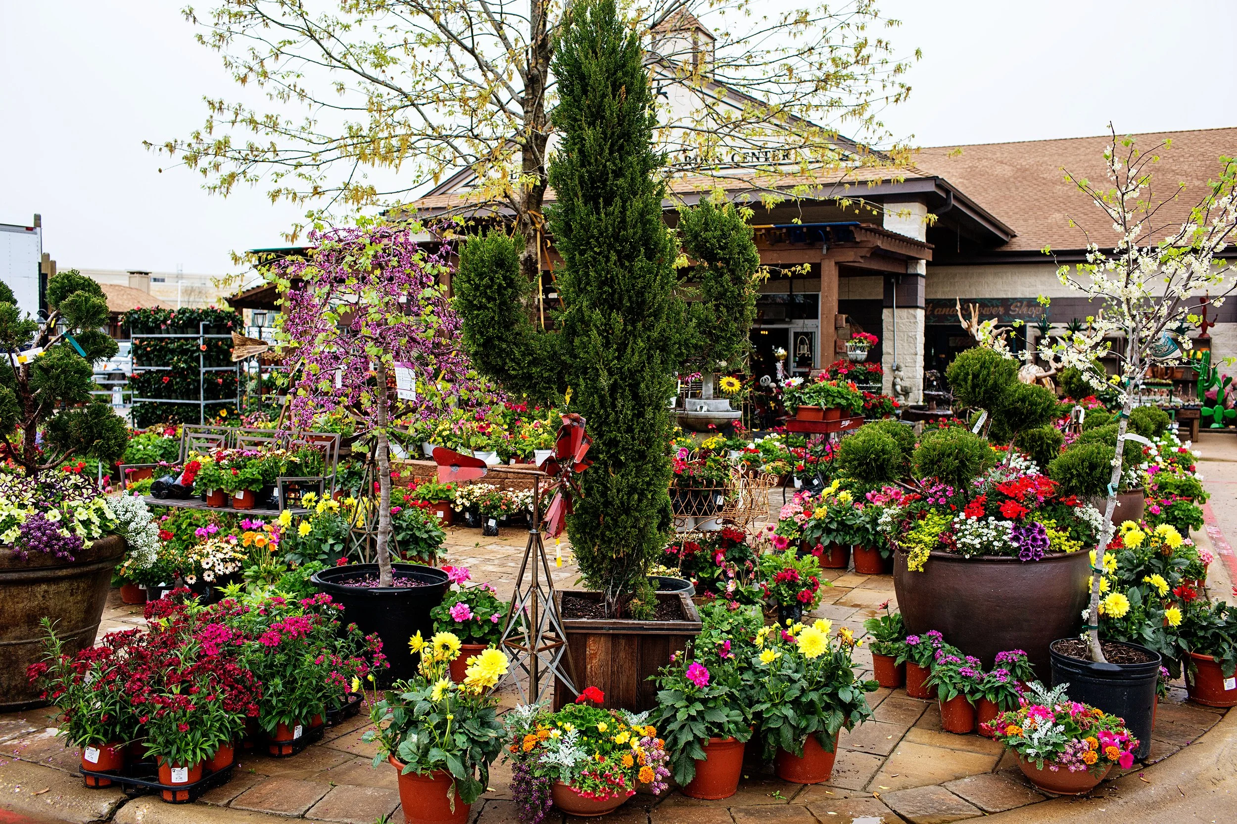 Live Edge Wood Furniture in DFW Texas (150 of 304).jpeg