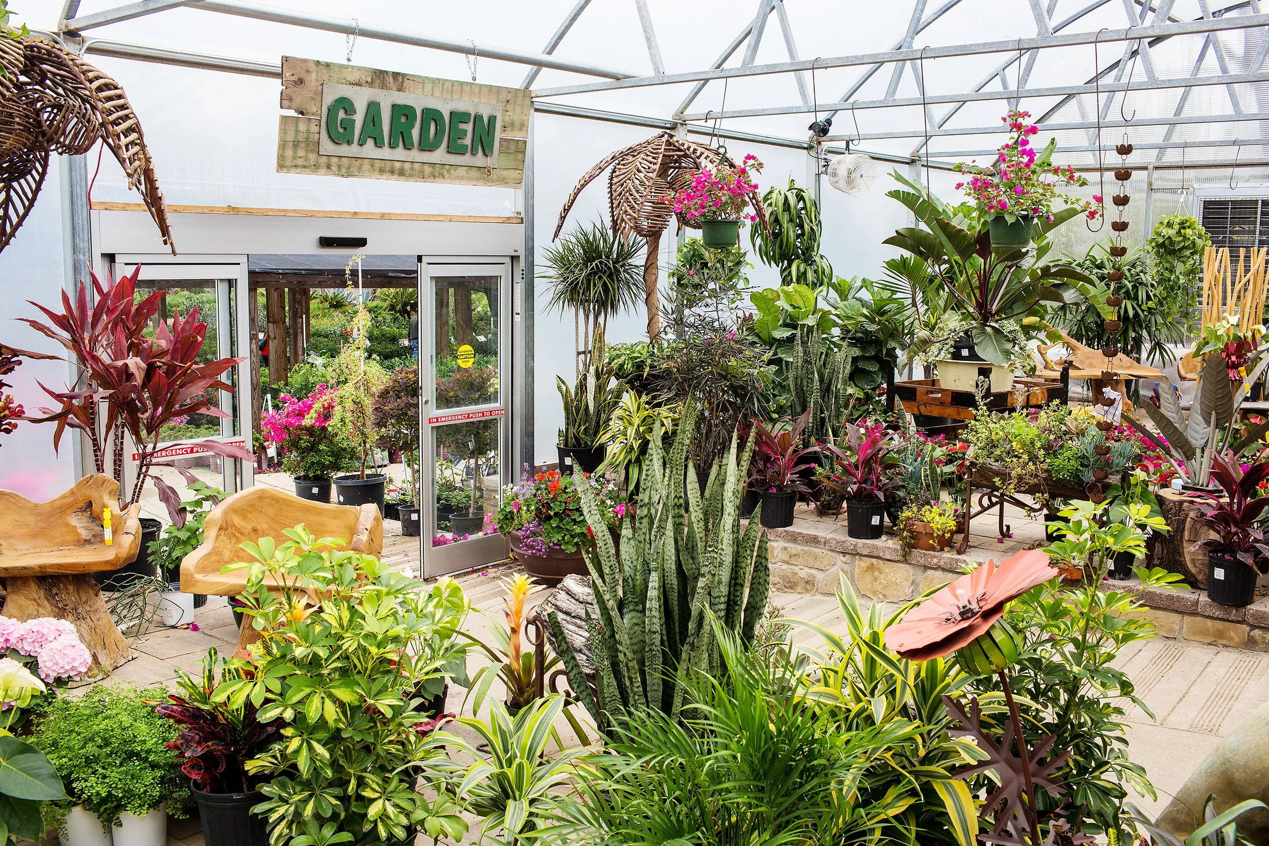 North Texas' Premier landscape nursery, design team, and retail shop.
