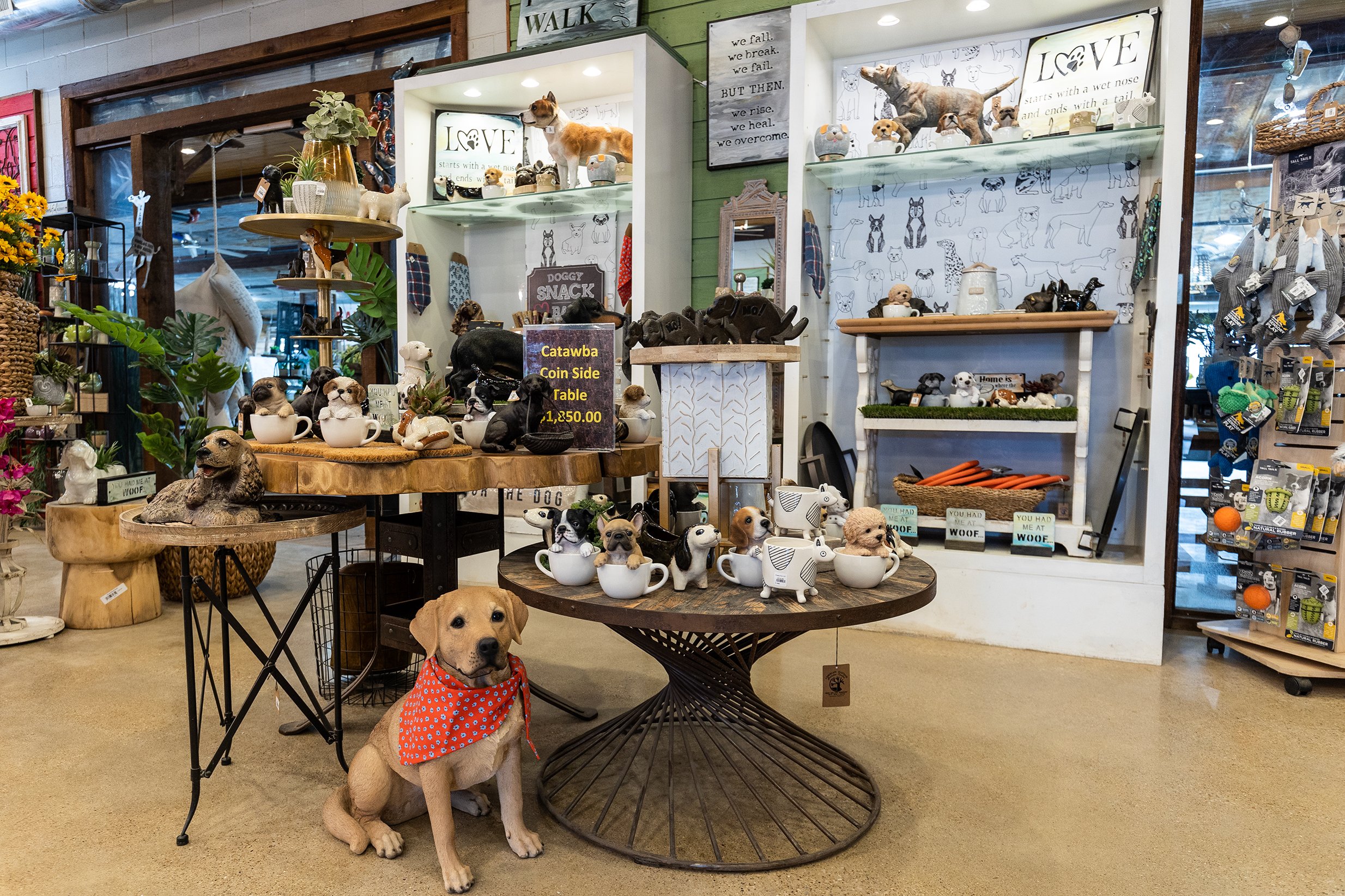Dog top gift shop