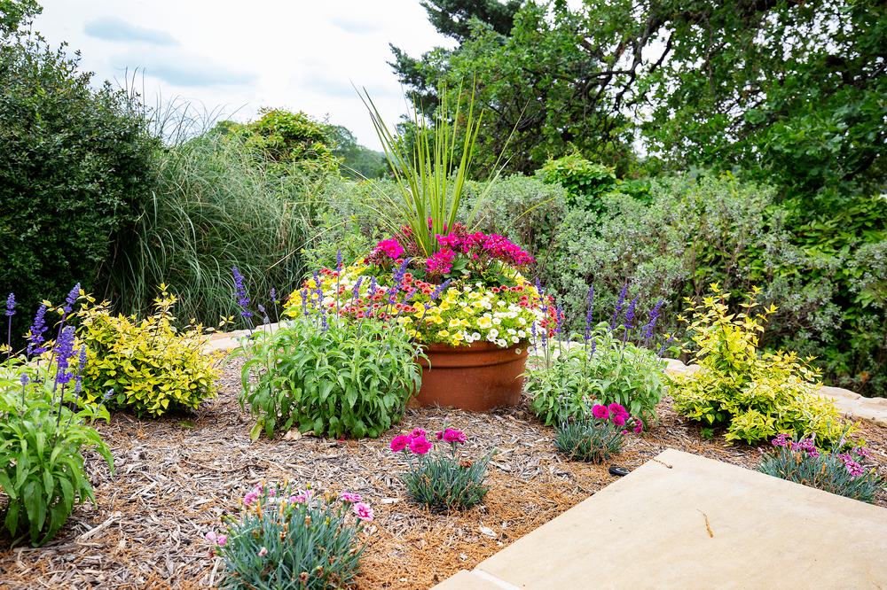 North Texas' Premier landscape nursery, design team, and retail shop.