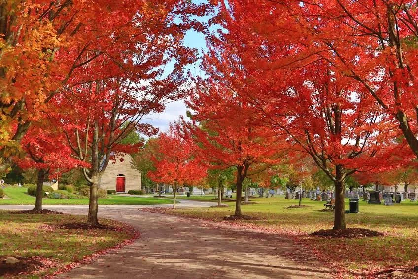 7th Annual Arboretum Walk