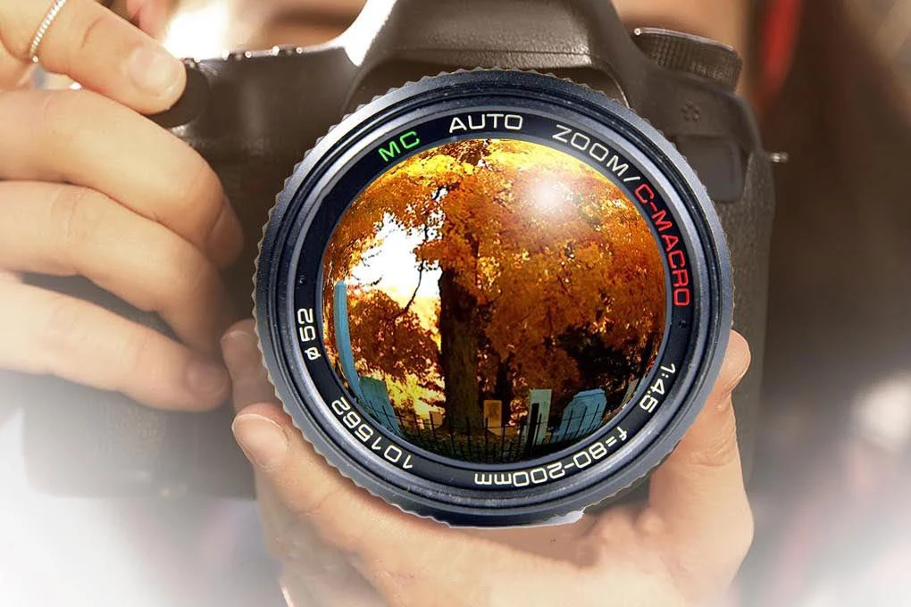 2026 Annual Photo Contest