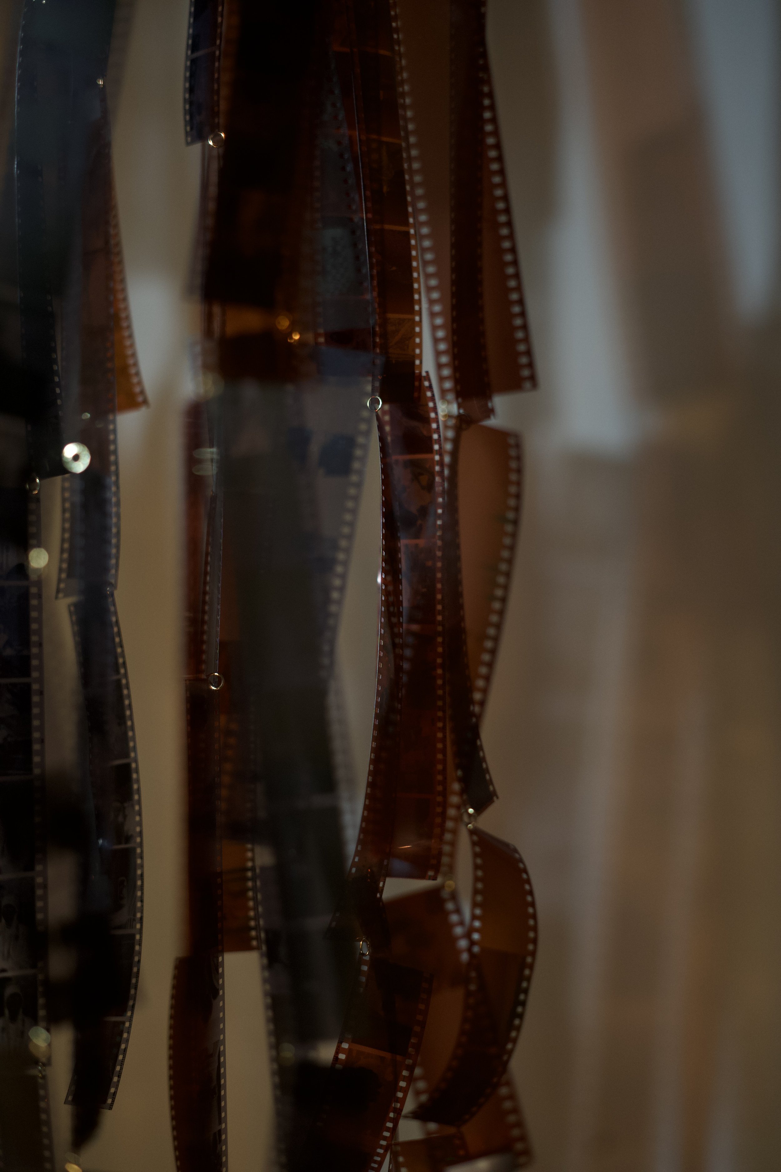 DSC06154.jpeg