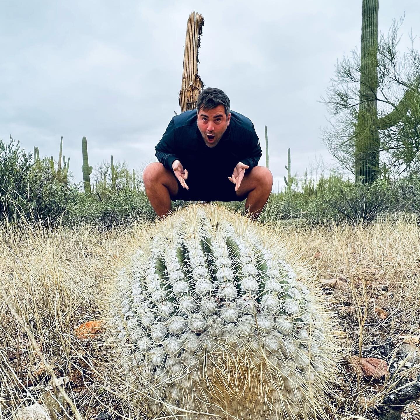 Arizona is simply beautiful and one of the most peaceful places I have traveled with @i.llallowit 

#arizona #cactus #giglife #guitarist #mtlemmon #desert #wildlife #views #landscape #arid #sw

Photographer: @i.llallowit