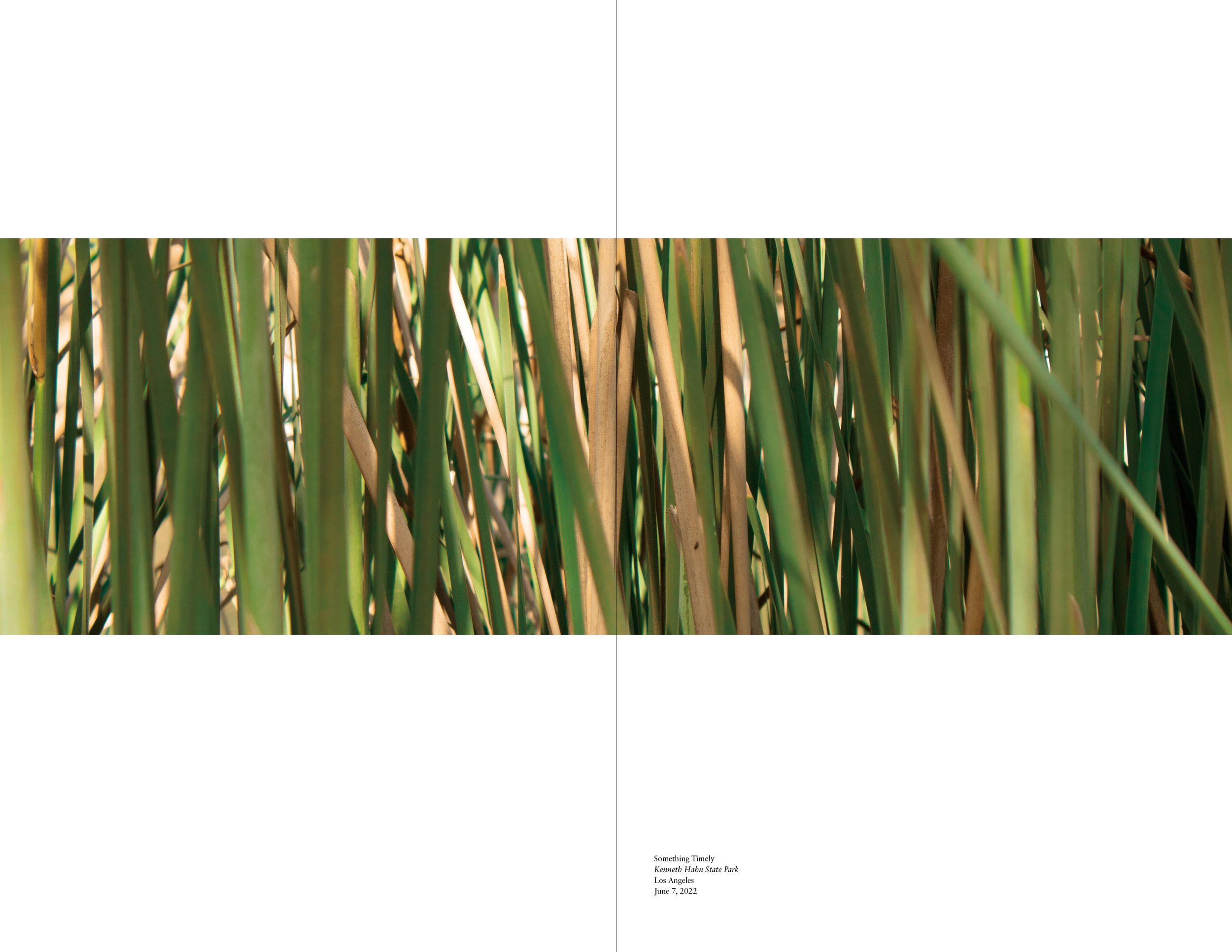 Book-Template_NI_SP214.jpg