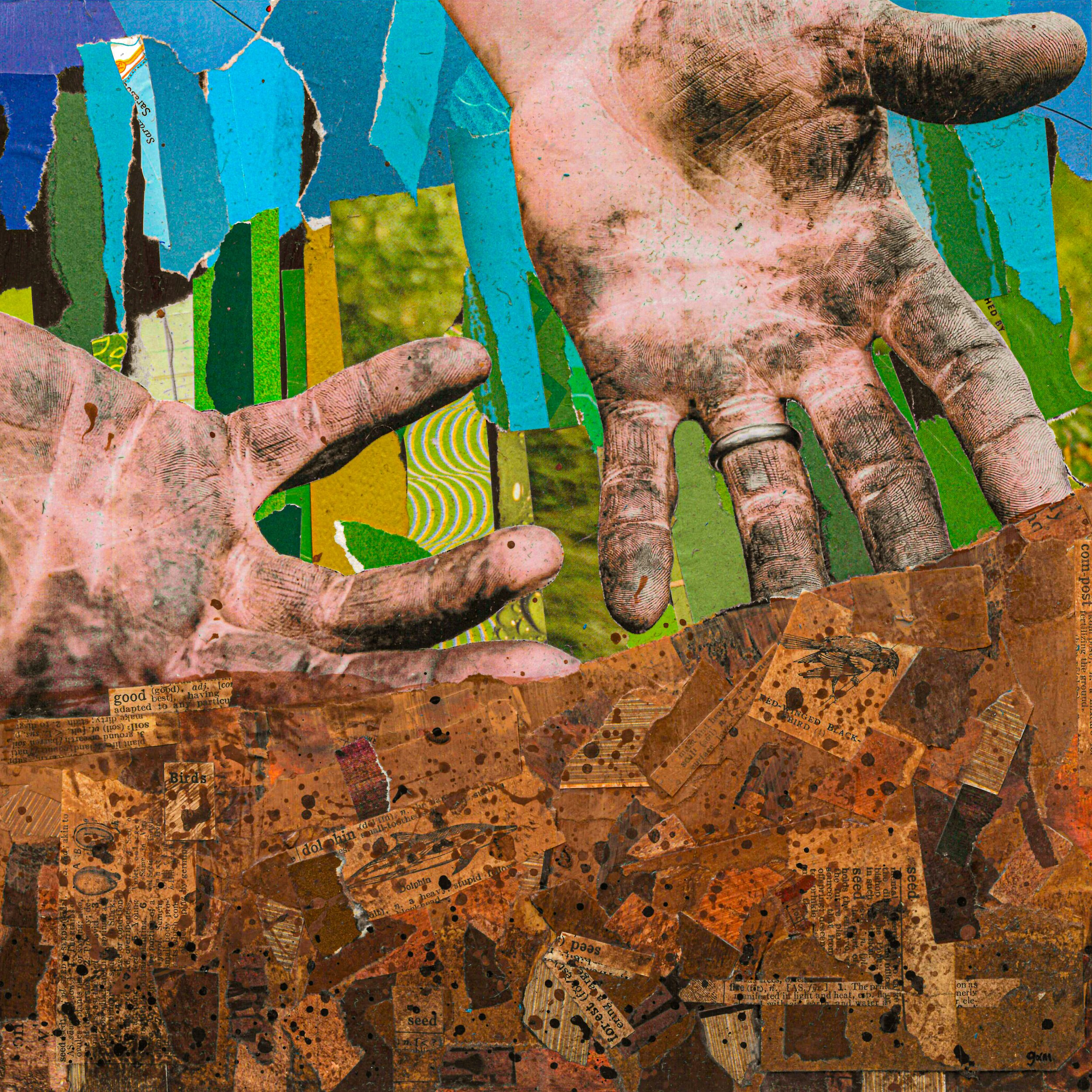 seeds collage final.jpg