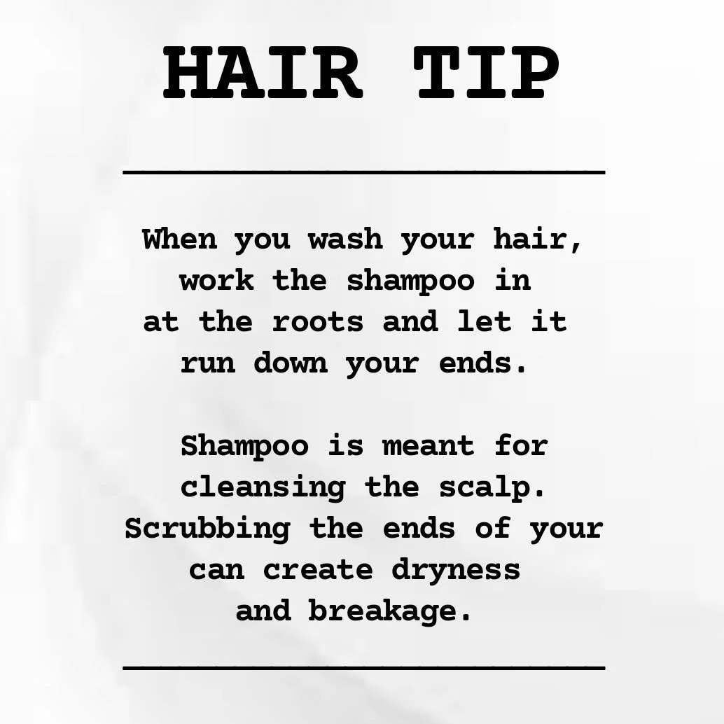 HAIR TIPS!.
.
.
#healthyhair #hairtips #tipsandtricks #haireducation #hairtiptuesday #hairhealth #loveyourhair #takecareofyourhair #healthyhairjourney