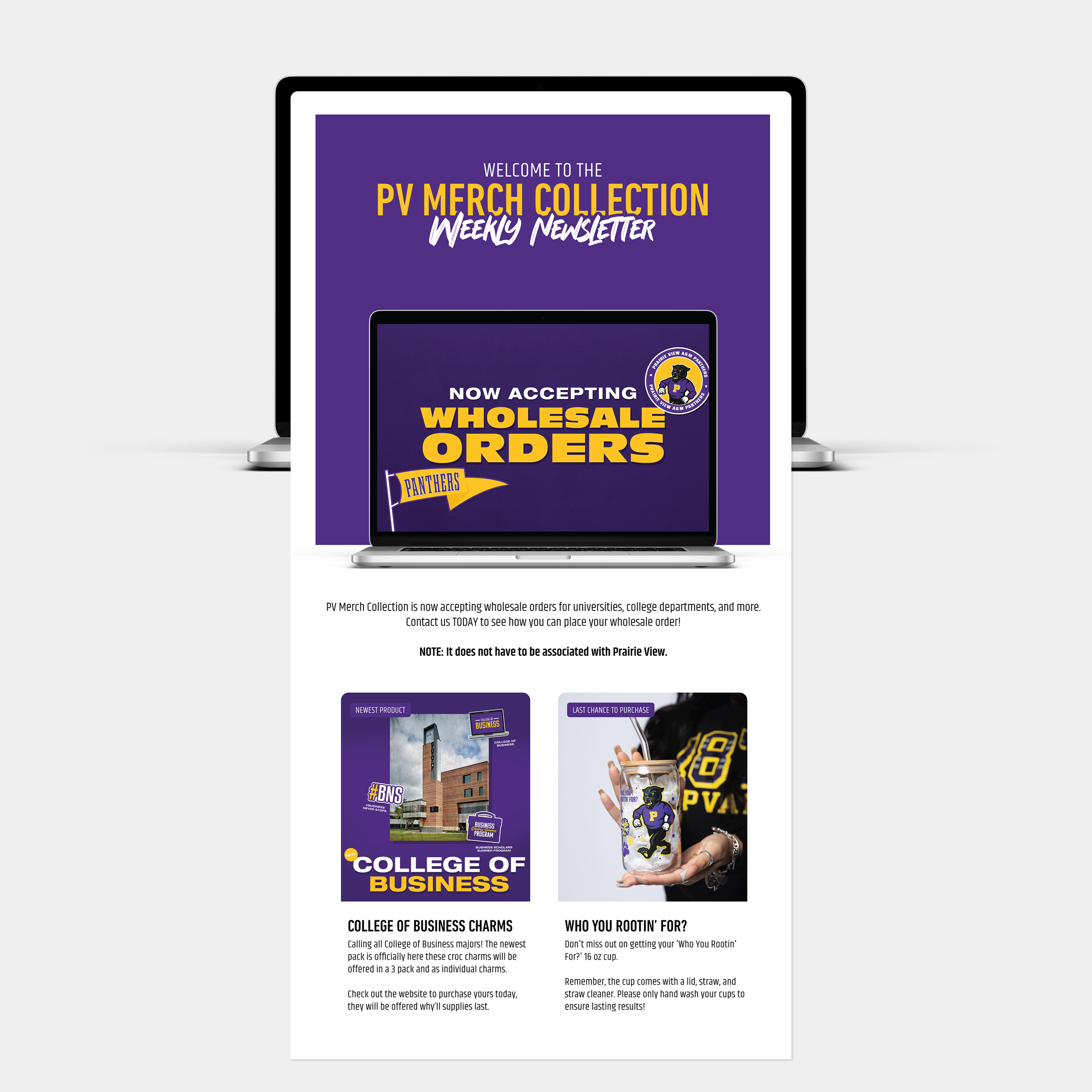 Newsletter Subscription_.png