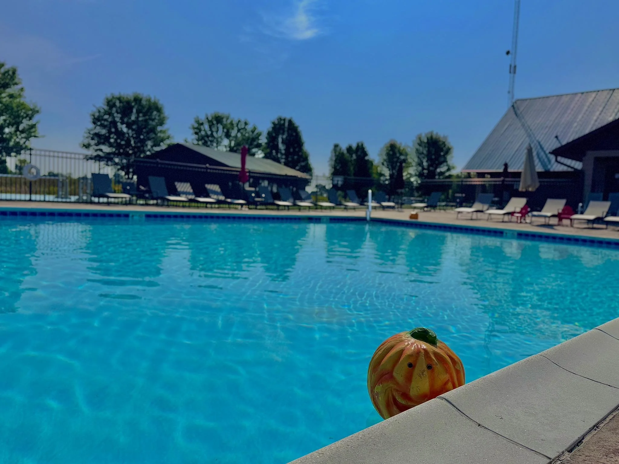 Autumn Adventure 🍁