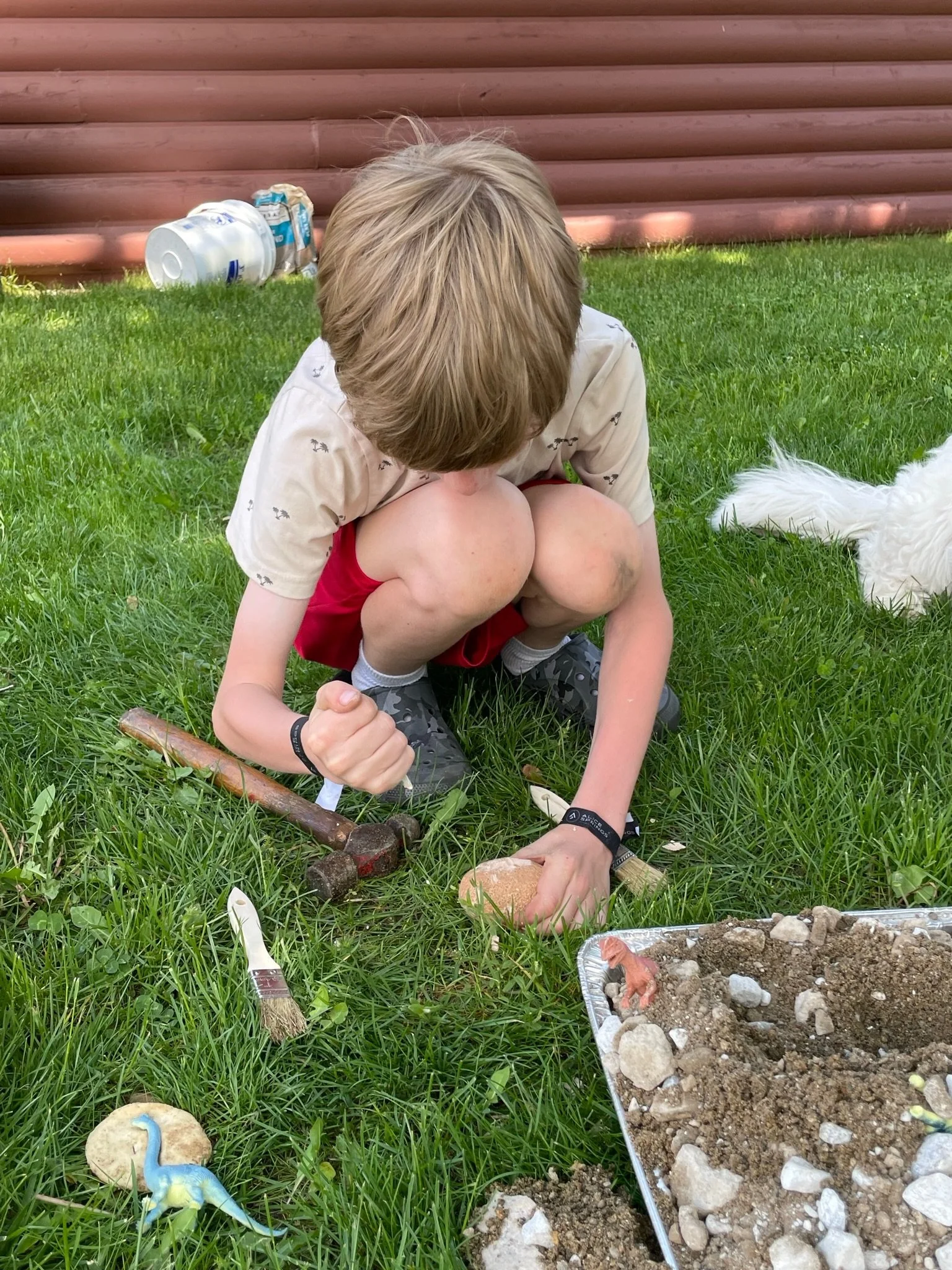 Springtime Shenanigans 🌼